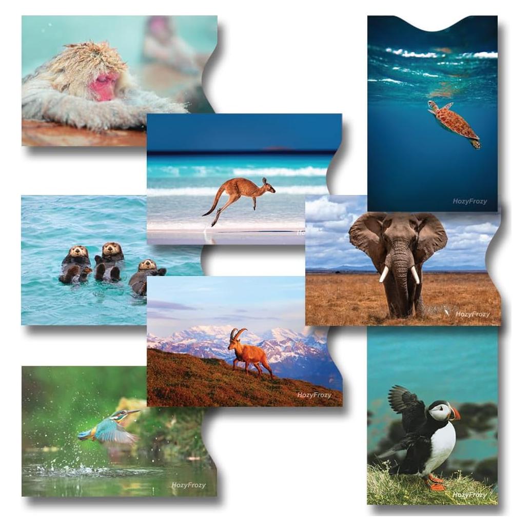 8 Fundas Bloqueadoras RFID PokCat - Diseños Animales Coloridos