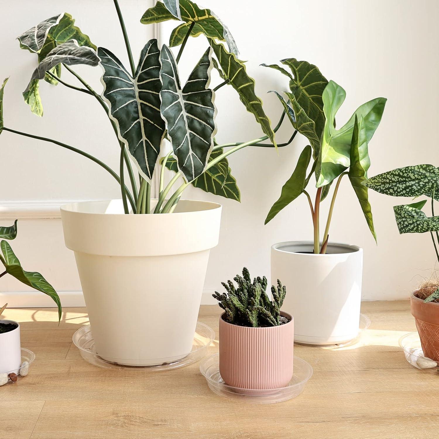 Paquete de 20 Platillos Transparentes TRUEDAYS para Macetas 15-30 cm