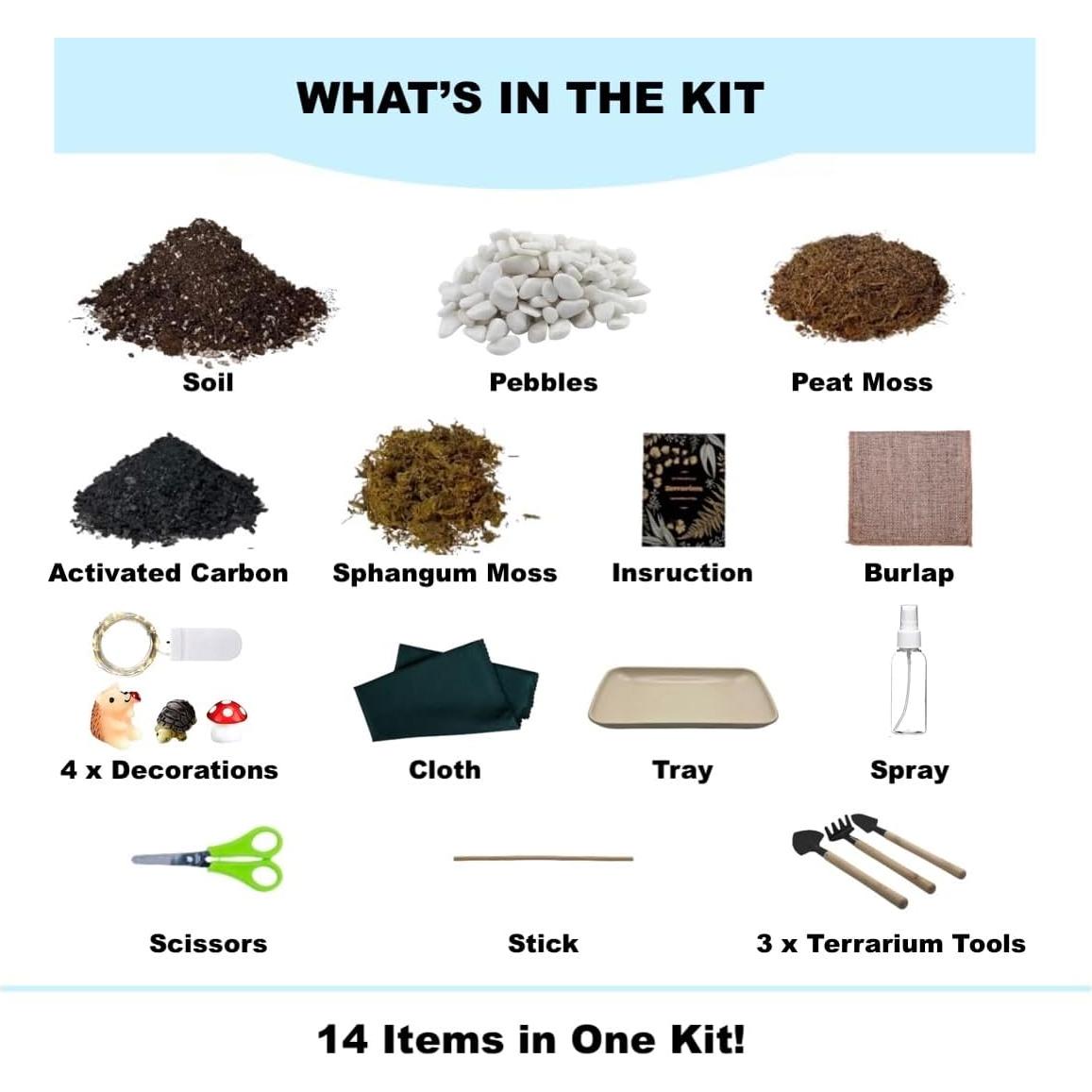 Kit de Terrario DIY KRAFTSTORIES 13 Artículos 24.1x16.5cm