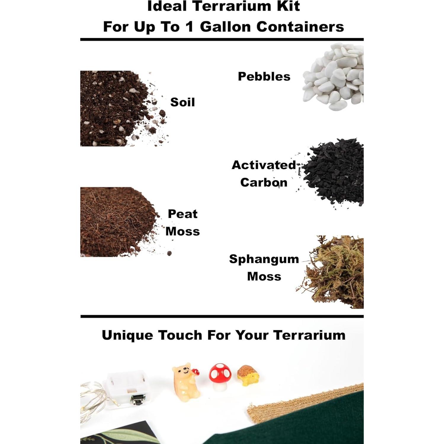 Kit de Terrario DIY KRAFTSTORIES 13 Artículos 24.1x16.5cm