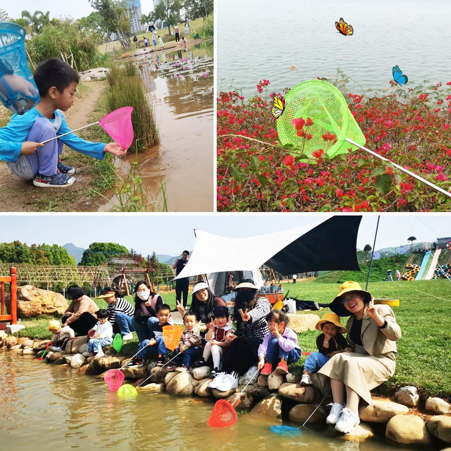 Paquete de 6 Redes Telescópicas para Mariposas HSHTTKL