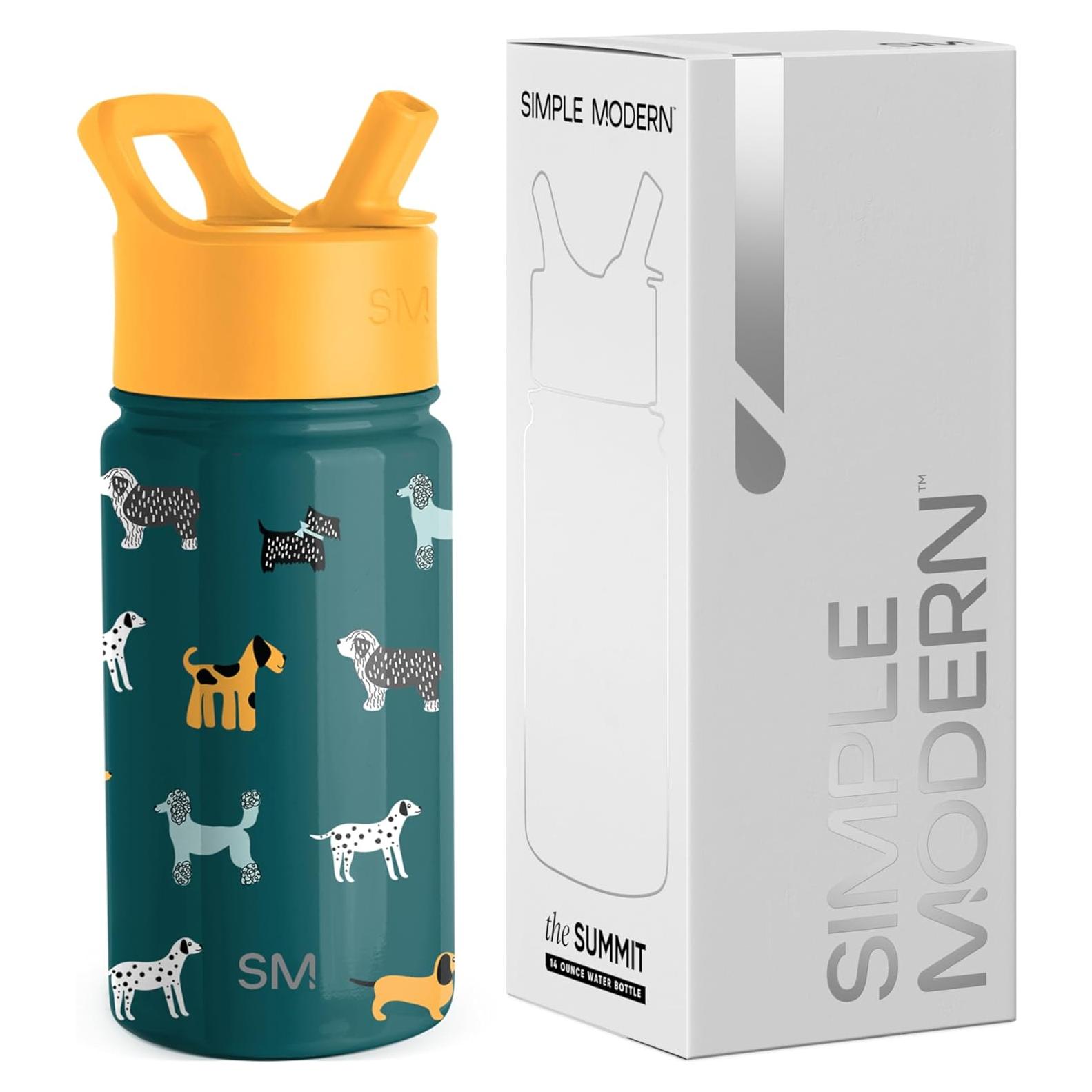 Botella de Agua Aislada Simple Modern 414ml para Niños