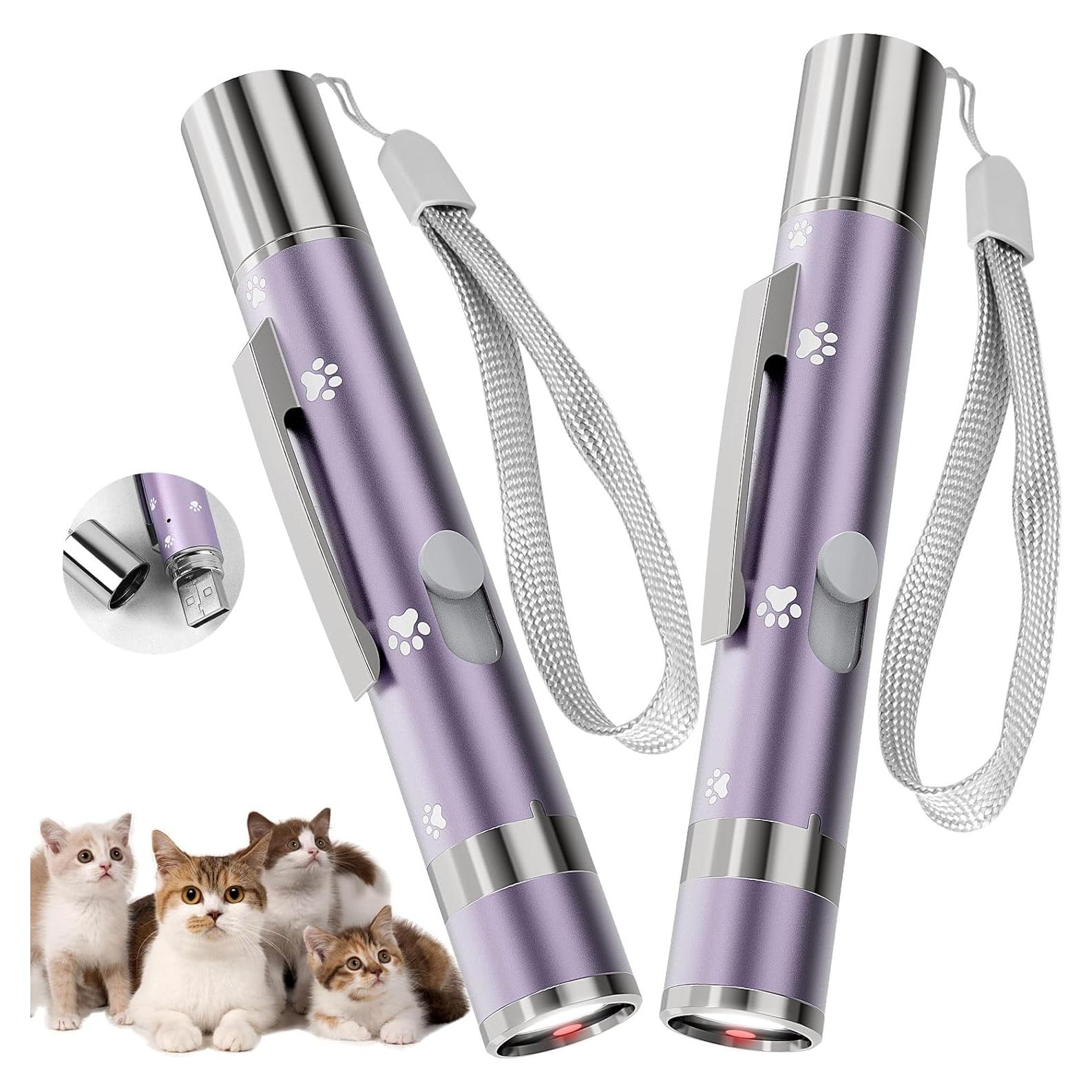 Paquete de 2 Punteros de Luz Roja Interactivos OUMSIS - Recargables