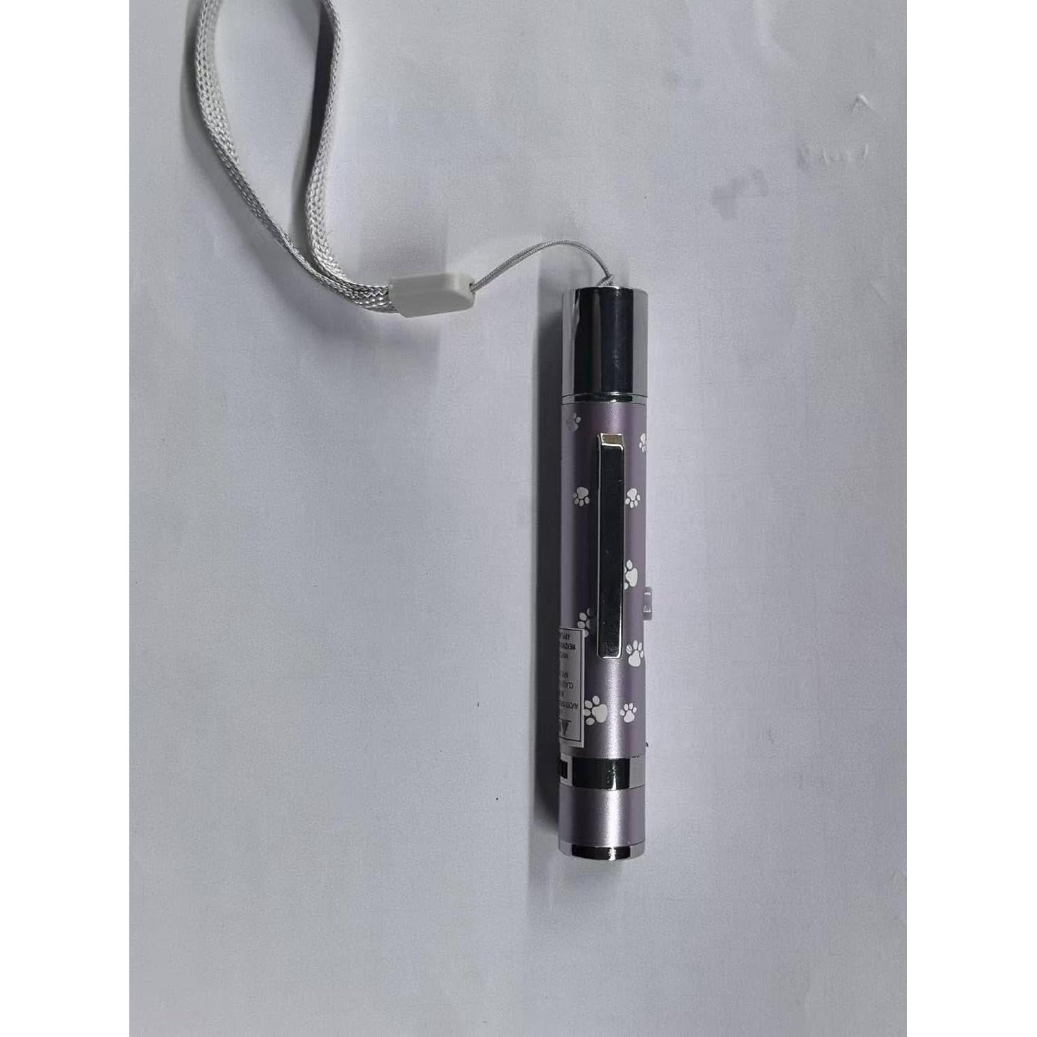 Paquete de 2 Punteros de Luz Roja Interactivos OUMSIS - Recargables