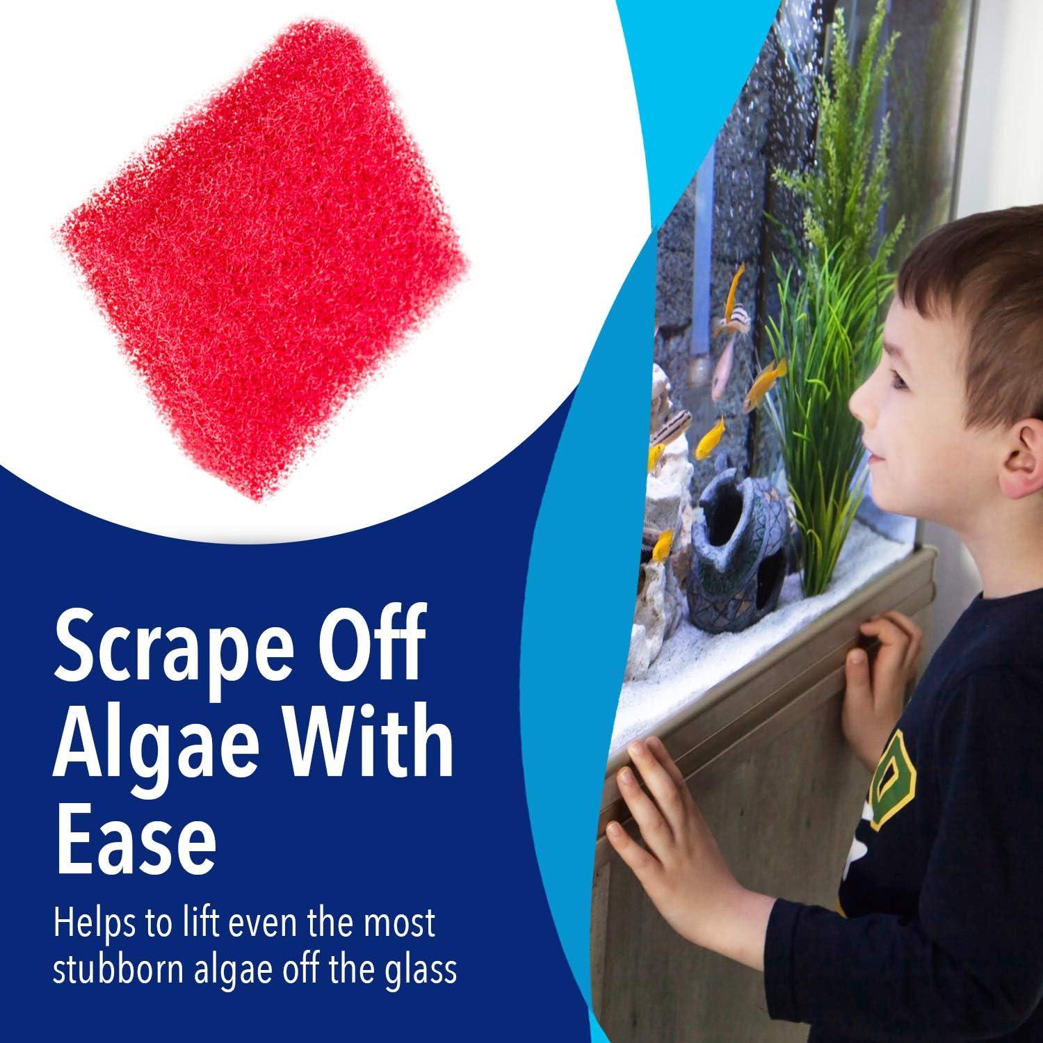 Limpiadores de Acuario Suministros para Mascotas Evergreen - 4 Piezas