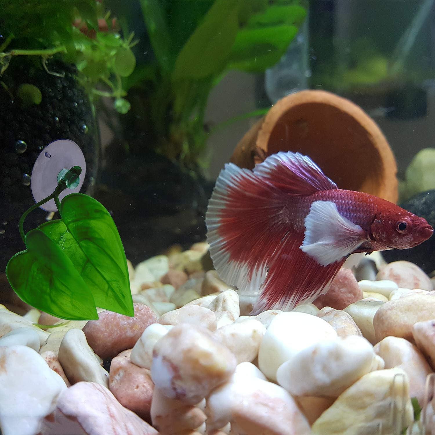 Almohadilla de Hoja URATOT para Peces Betta - 4 Piezas