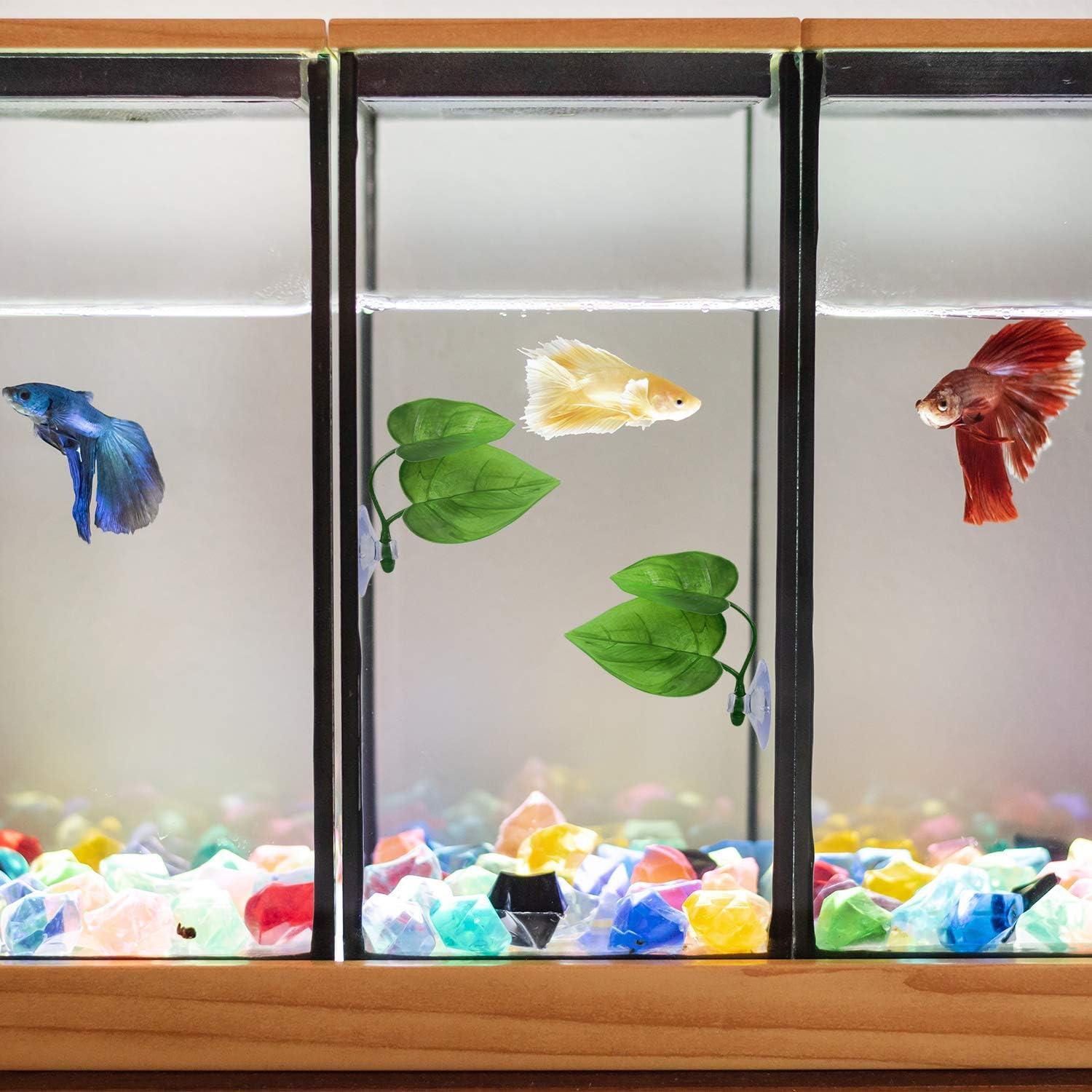 Almohadilla de Hoja URATOT para Peces Betta - 4 Piezas