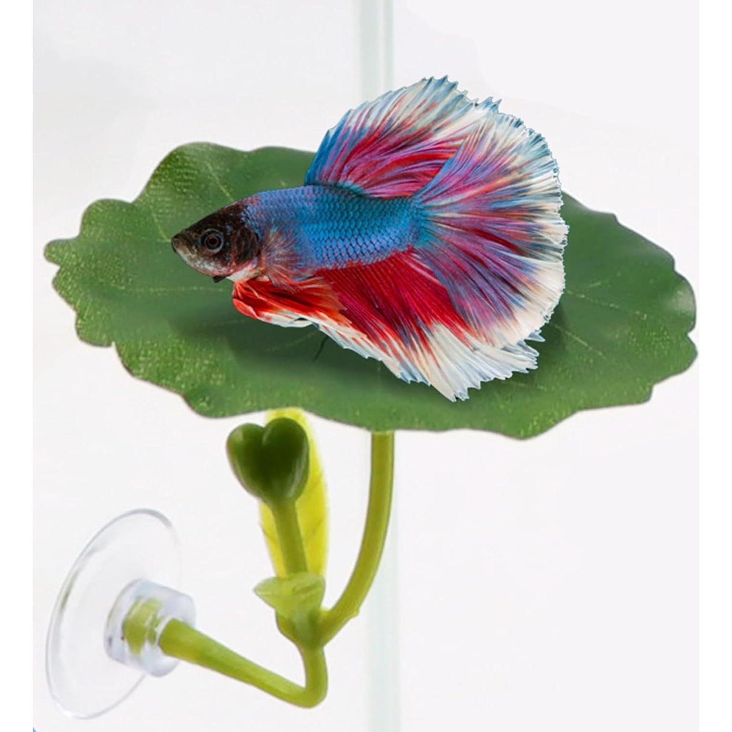 Juego de 3 hamacas de hoja para pez betta - Decoración acuarios