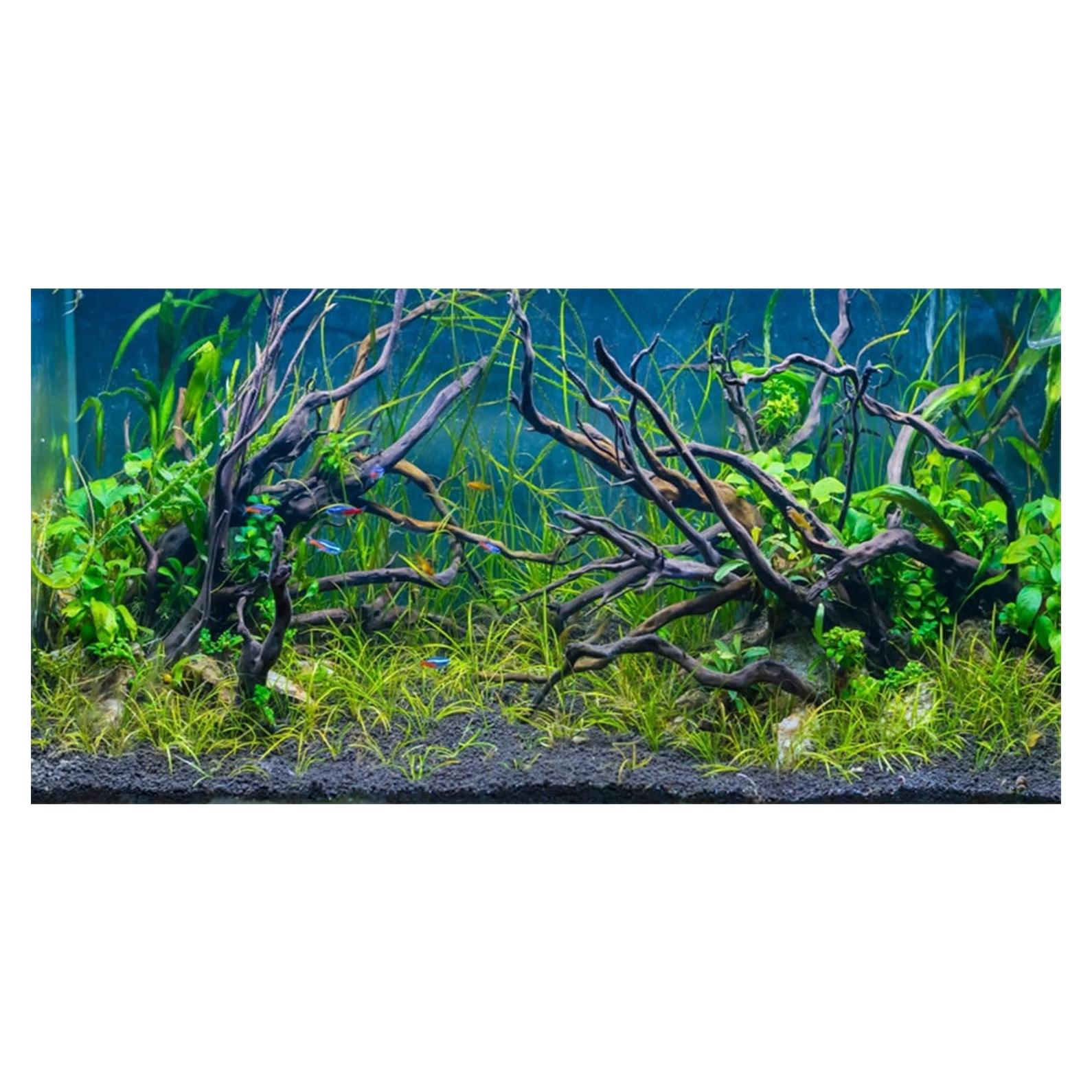 Fondo de Acuario Vinilo AWERT 120x60 cm Tropical