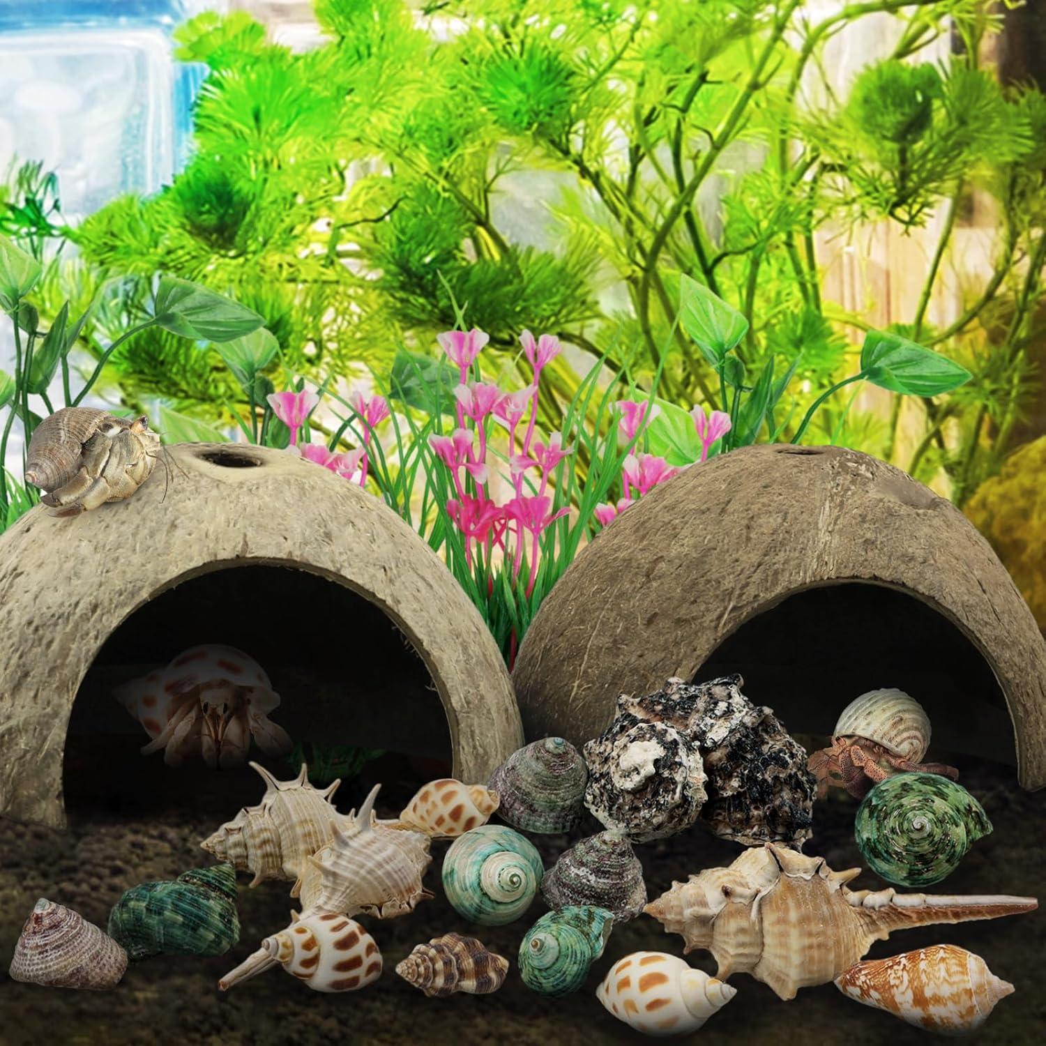 Suministros para Cangrejo Ermitaño QUOZUO - 22 Piezas