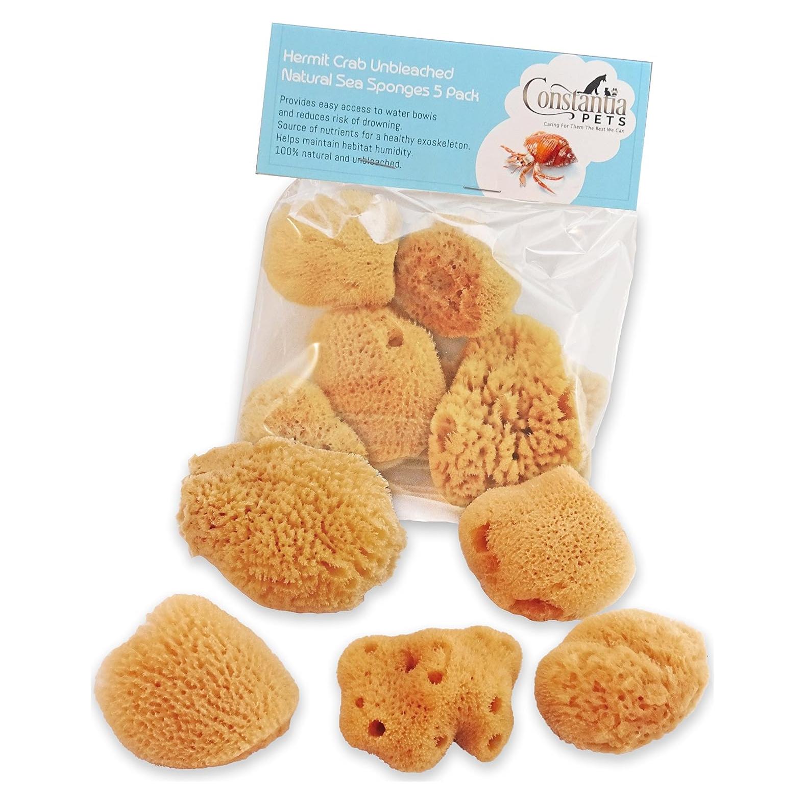 Esponjas de Mar para Cangrejos Ermitaños - Paquete de 5 Sin Blanquear