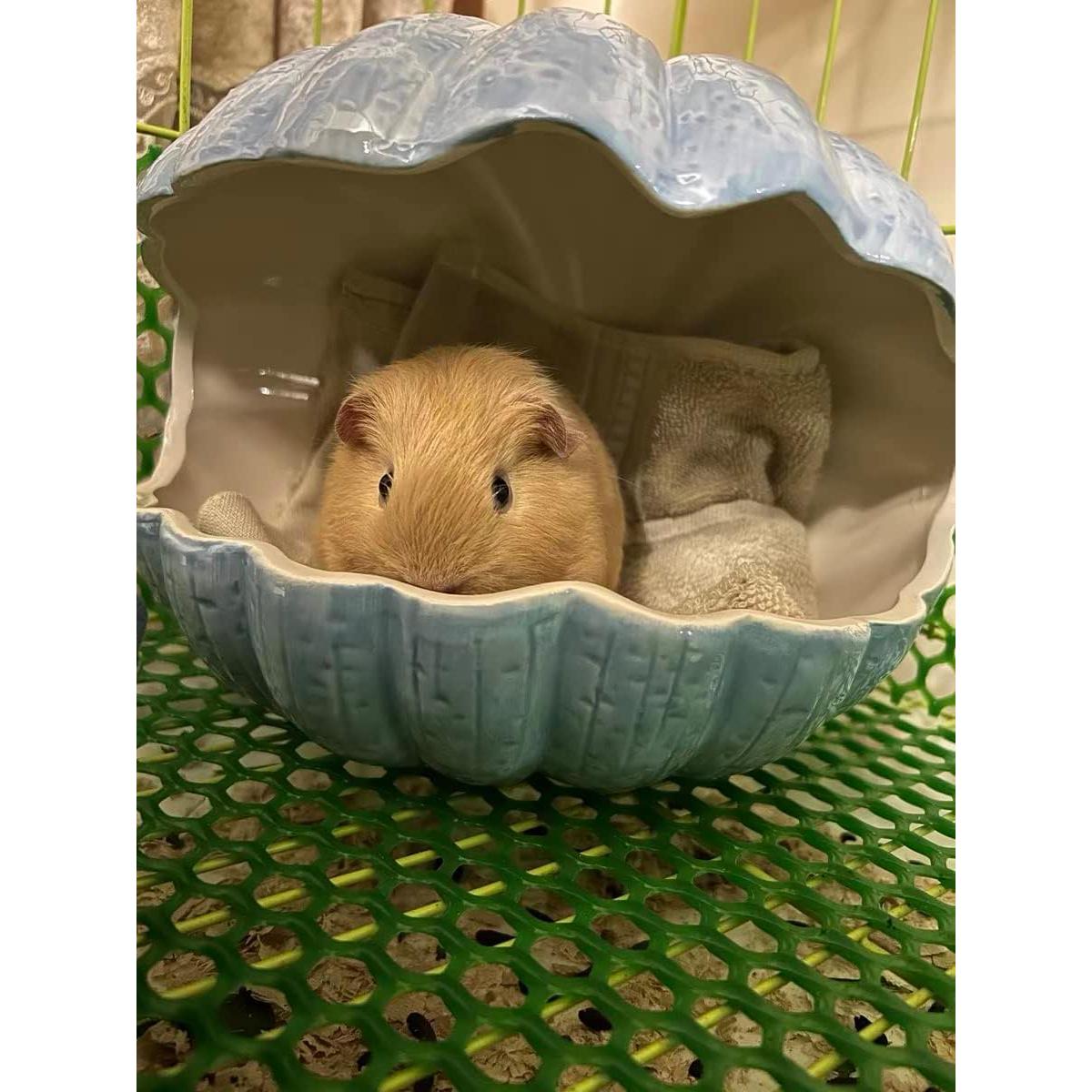 Escondite Cerámica para Pequeños Animales XL Azul 24x18x20cm