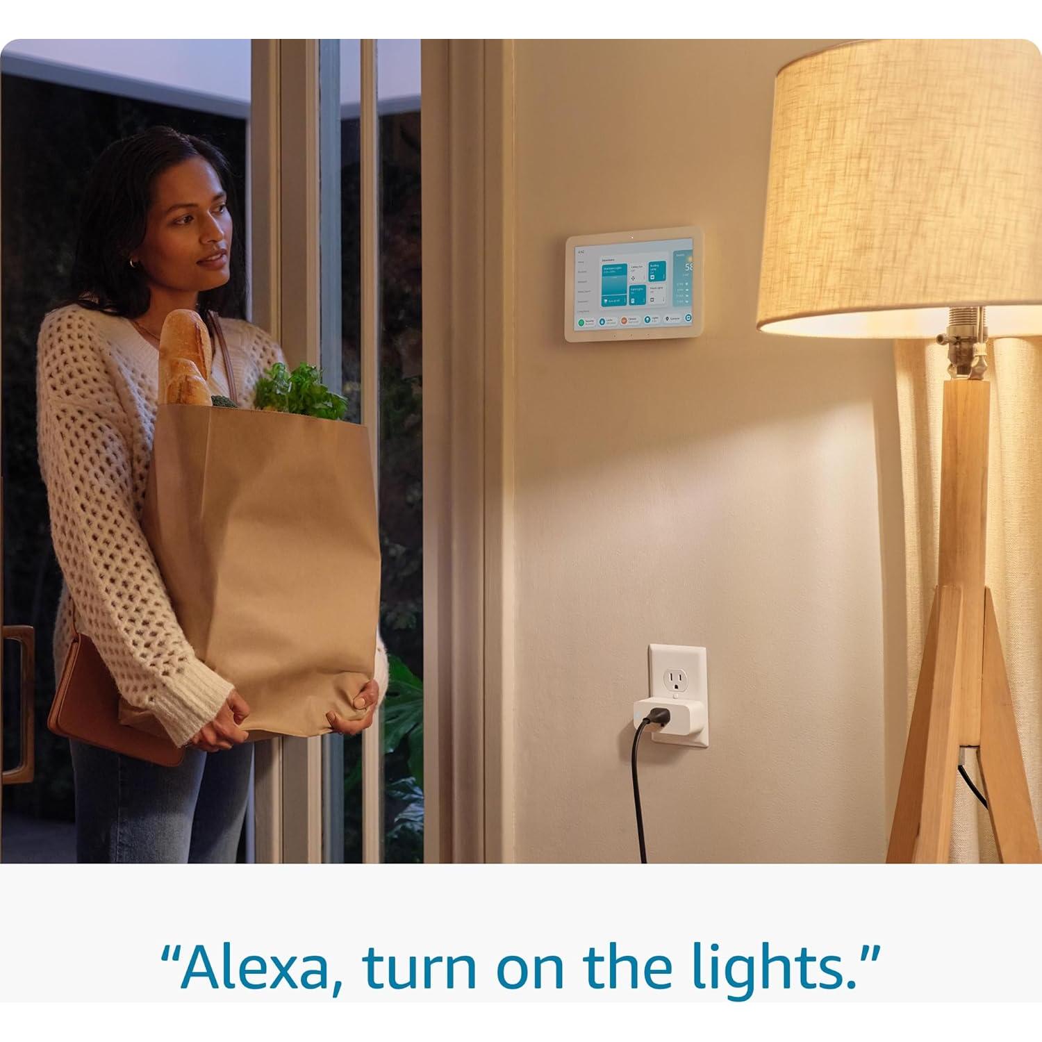 Amazon Smart Plug | Works with Alexa | Simple setup, endless possibilities