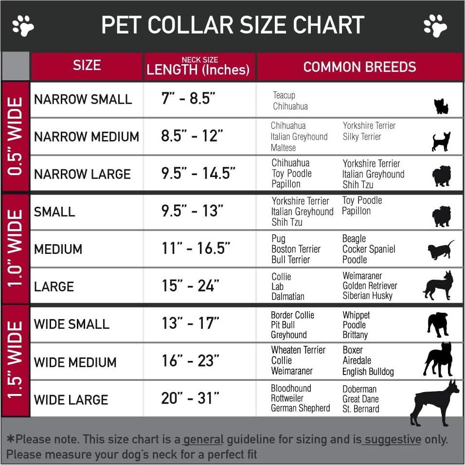 Collar de Perro Buckle-Down Disney - 2.54 cm Ancho - Mediano