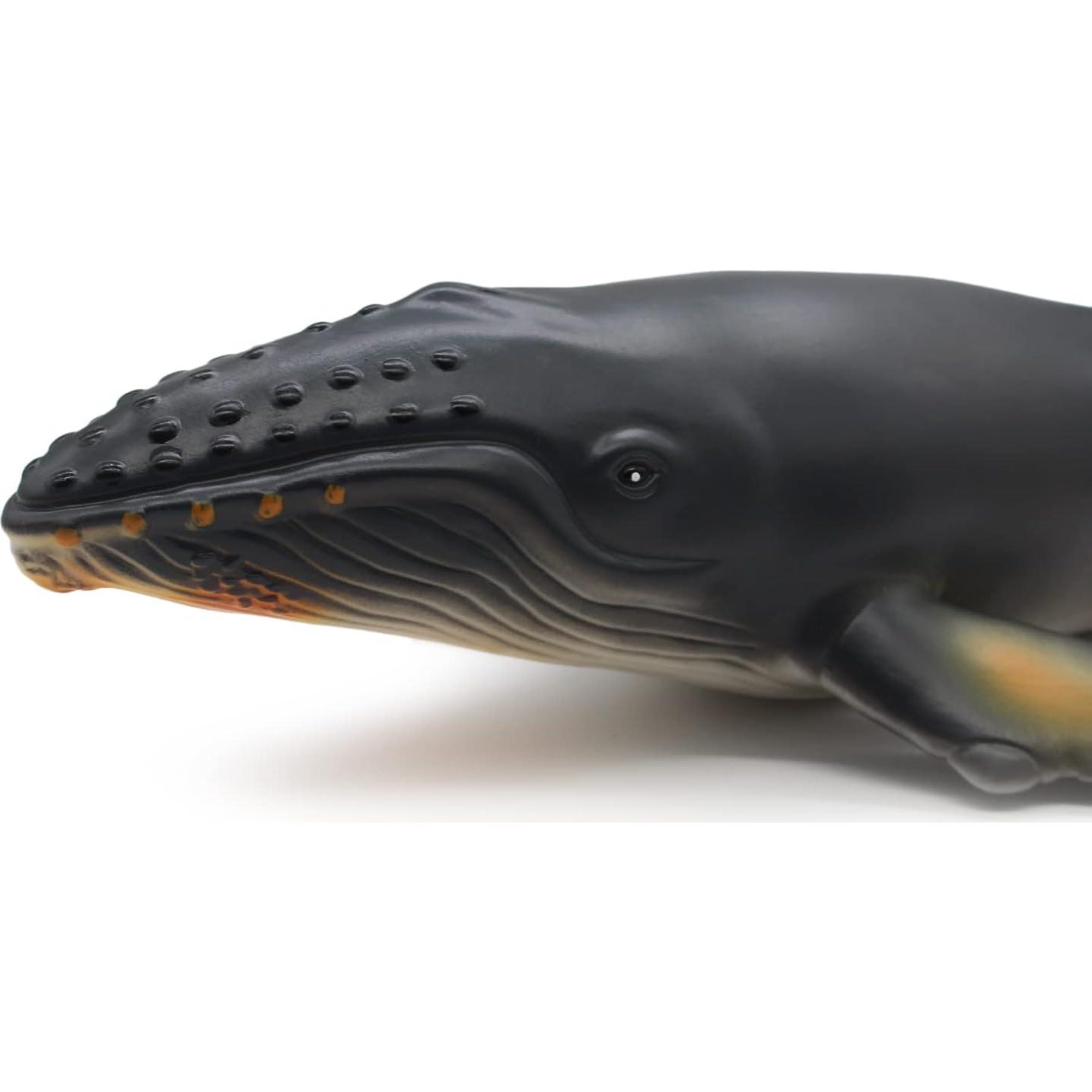 Figuras de Animales del Océano SmilerSmile 38 cm Jorobado