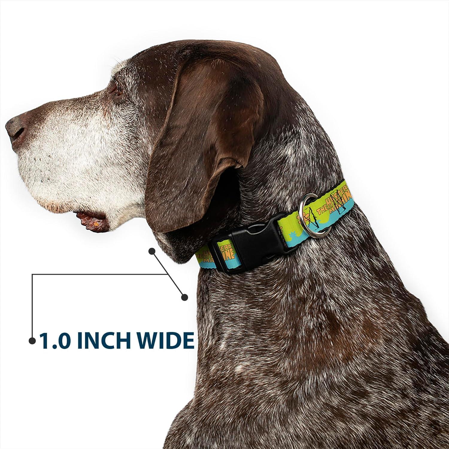 Collar para Perro Scooby Doo Buckle-Down 38-61 cm Ancho 2.54 cm