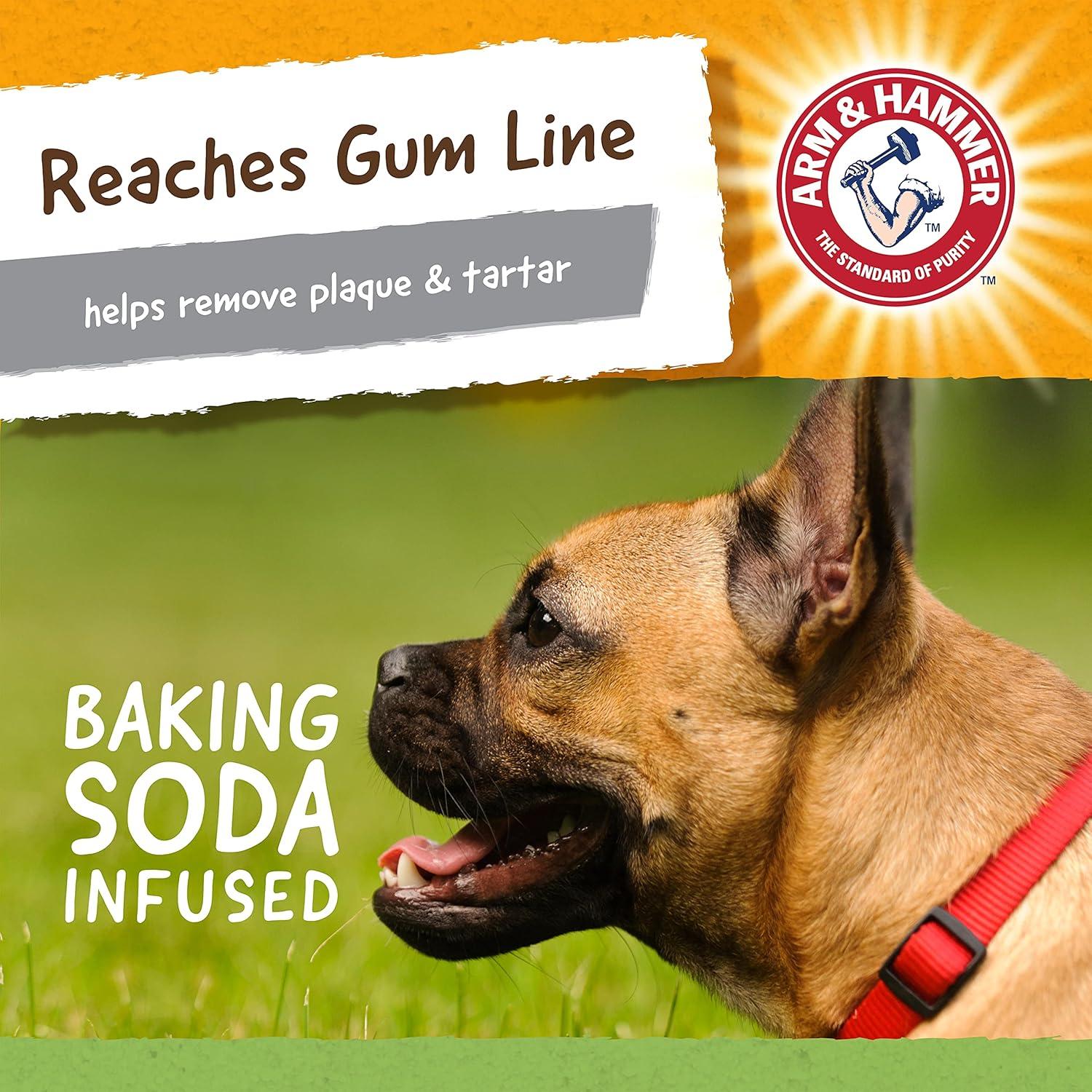 Juguete Dental para Perros Arm & Hammer T-Rex Sabor Menta