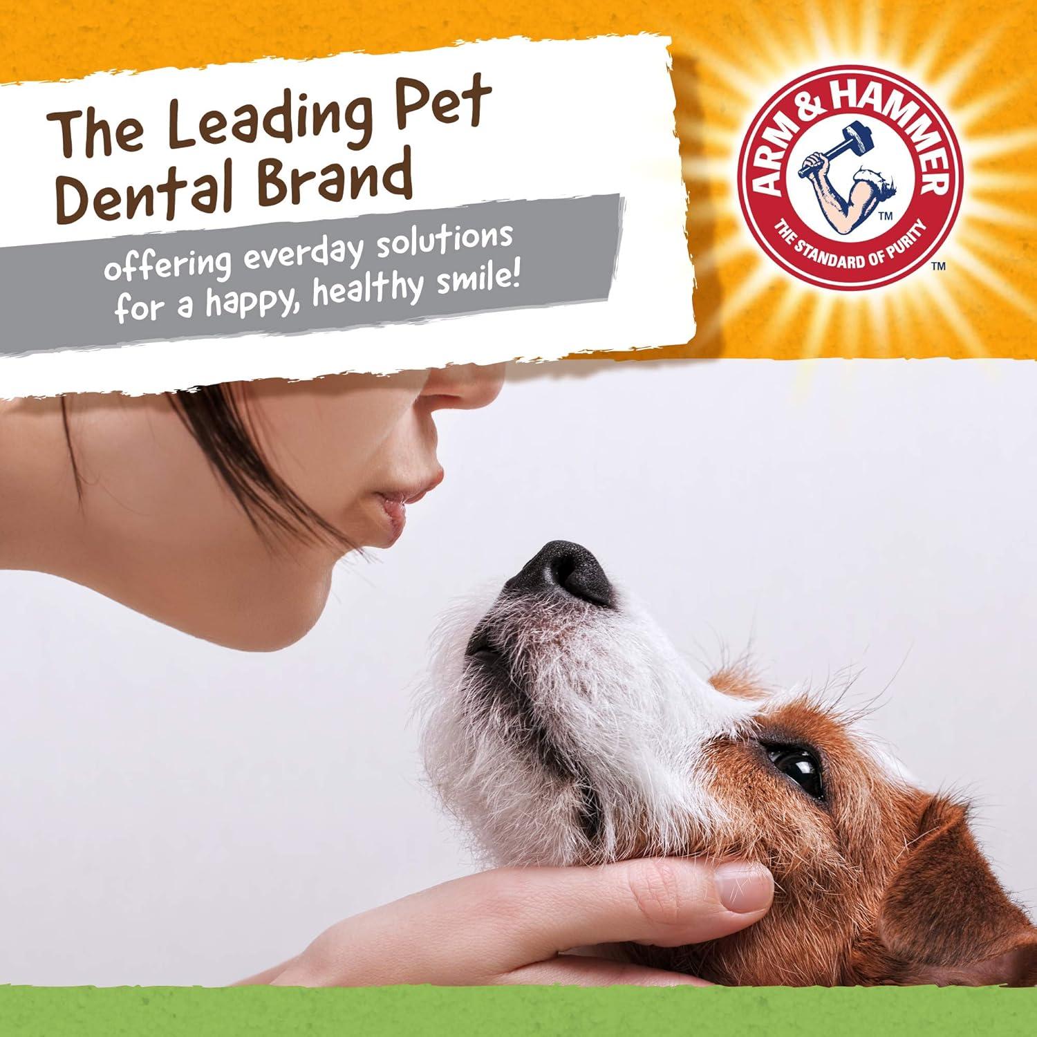 Juguete Dental para Perros Arm & Hammer T-Rex Sabor Menta