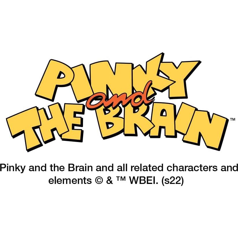 Set de 6 Palillos Decorativos Corazón Pinky y el Cerebro