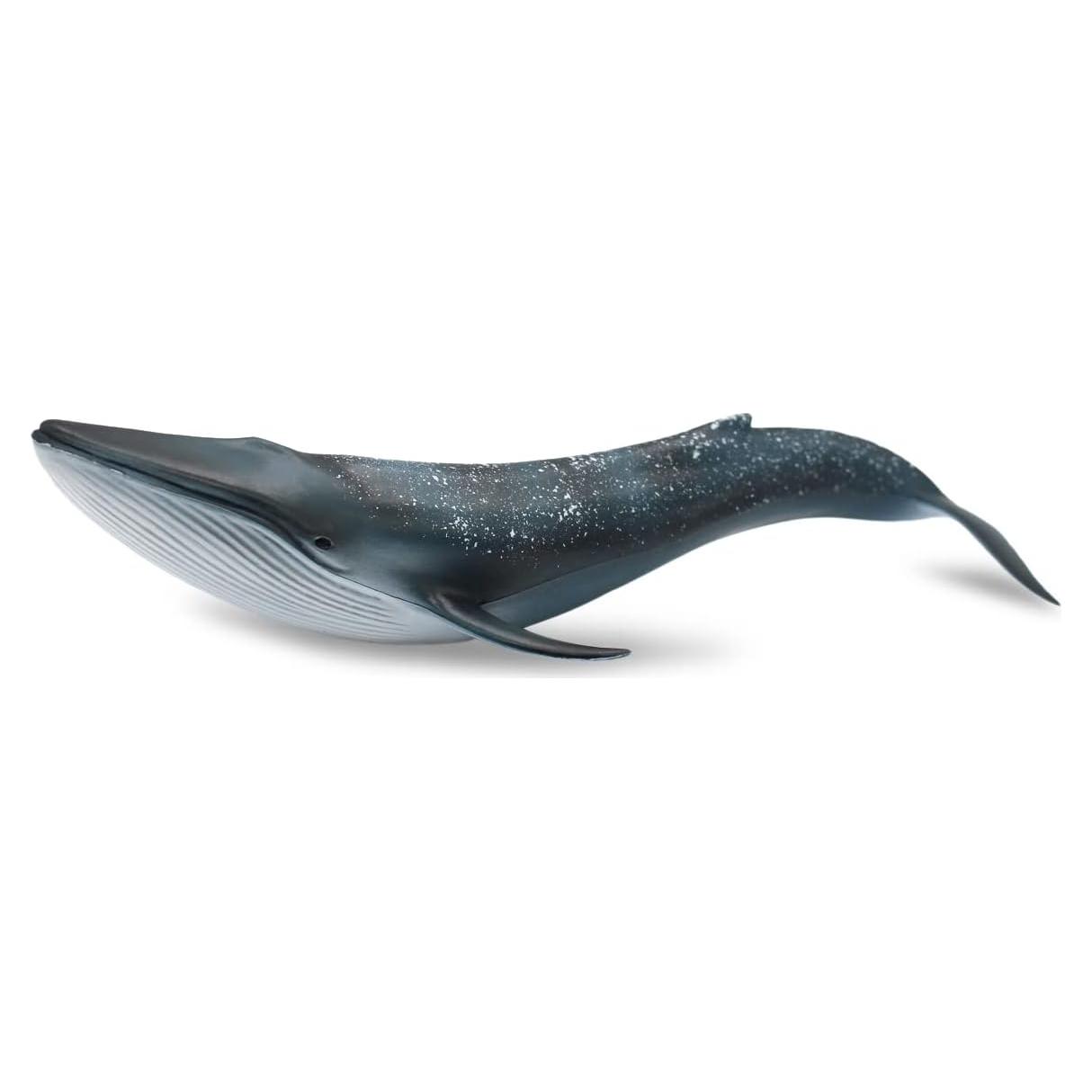Juguete Educativo Ballena Azul SmilerSmile 25.4x9.9cm