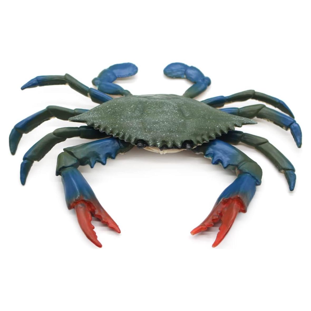 Juguete Educativo de Cangrejo Azul SmilerSmile 15.75x13.97cm