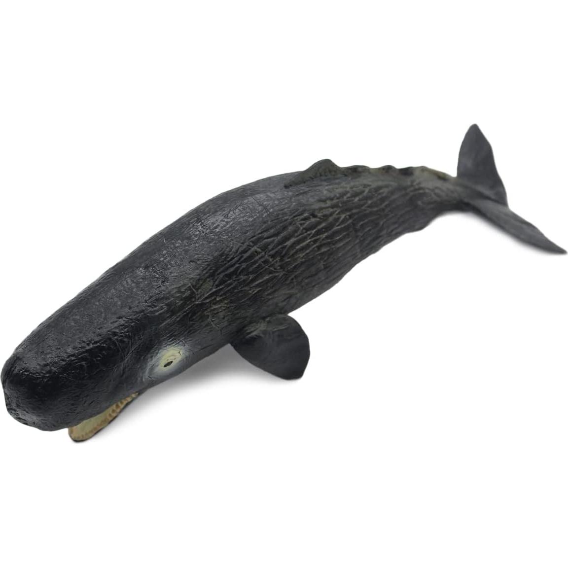 Juguete Educativo Ballena Esperma SmilerSmile 20cm Realista