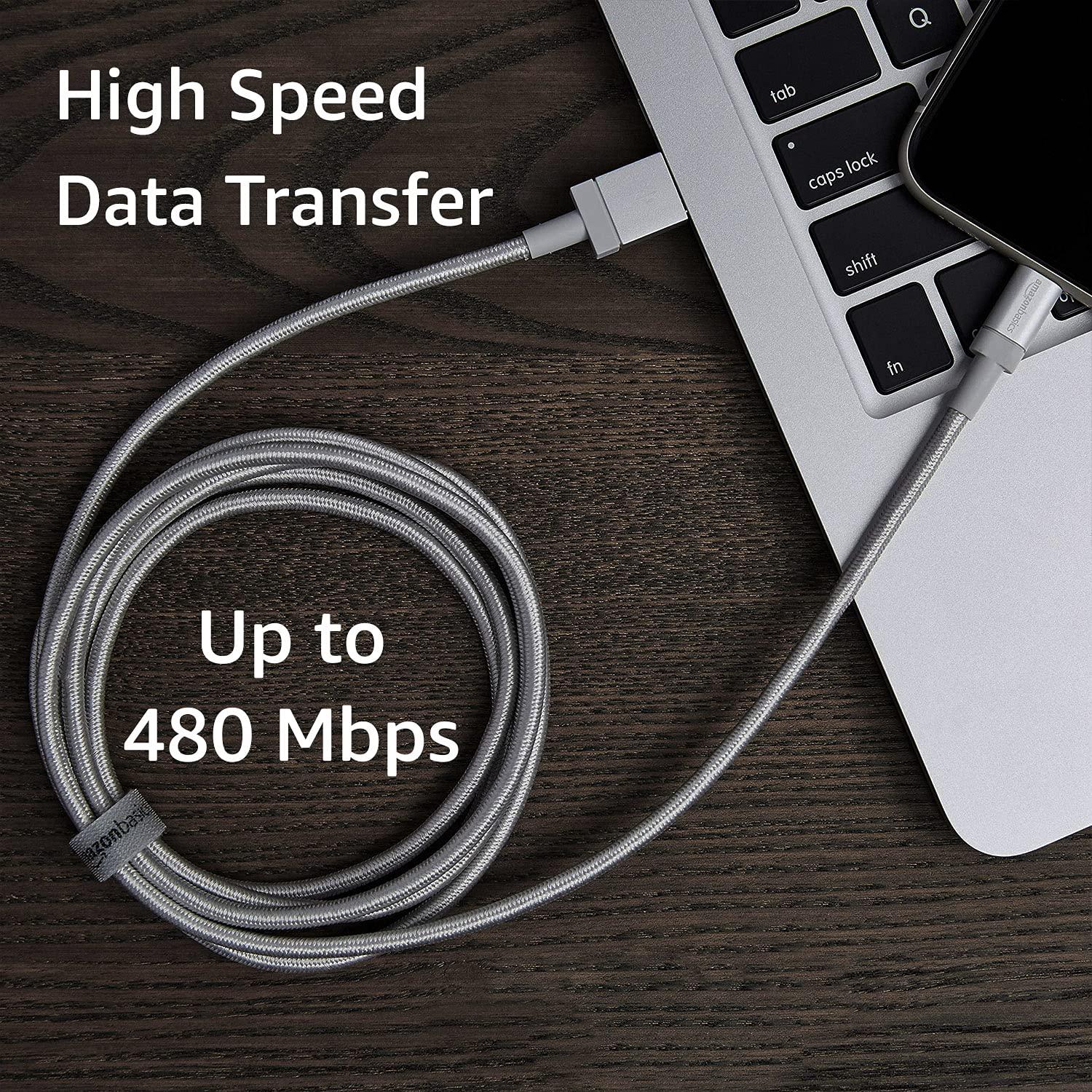 Cable USB-A a Lightning Amazon Basics 1.83m Plata MFi