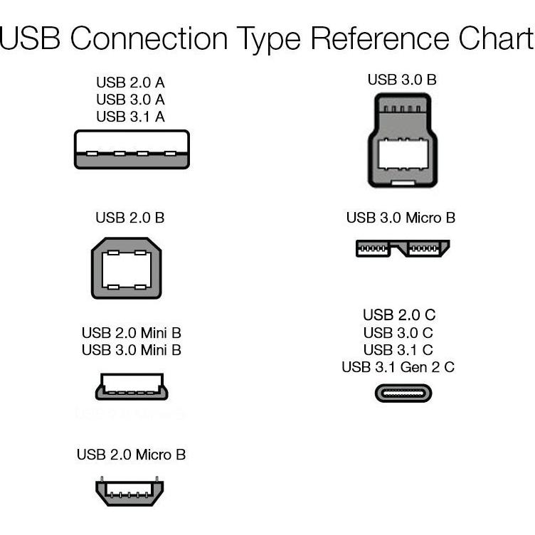 Cable de carga rápida USB-C a USB-A 2.0 Amazon Basics 1.83m