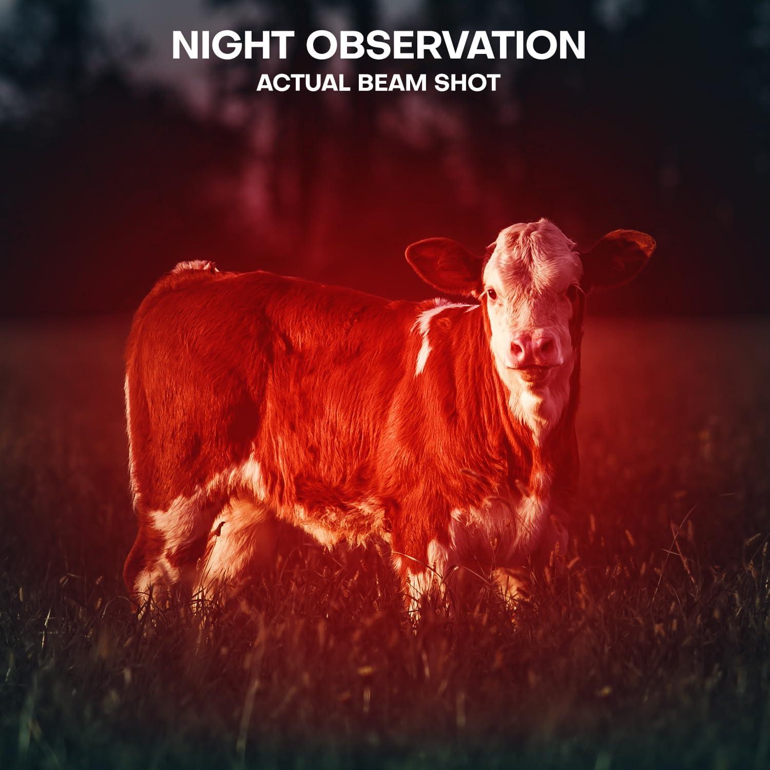 Linterna LED Roja HinsGEAR SK68RD2 - Paquete de 2 para Astronomía