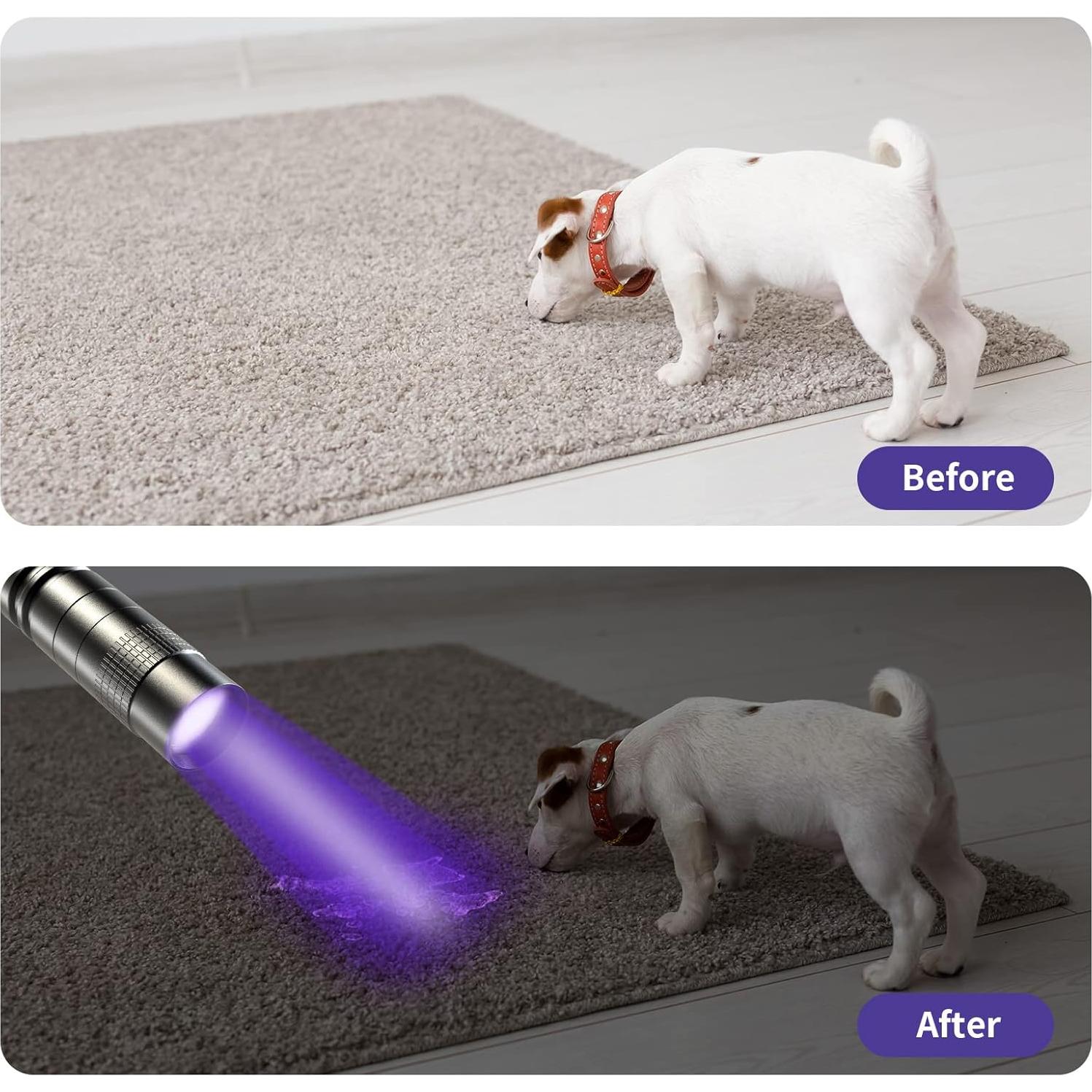 Linterna UV COSOOS 2 Paquete 395nm Impermeable para Mascotas