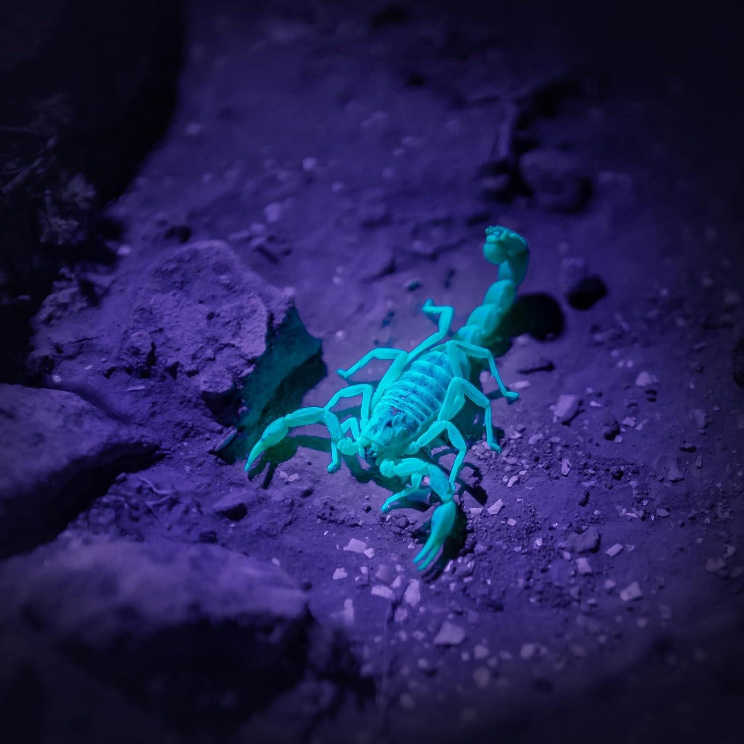 Linterna UV COSOOS 2 Paquete 395nm Impermeable para Mascotas