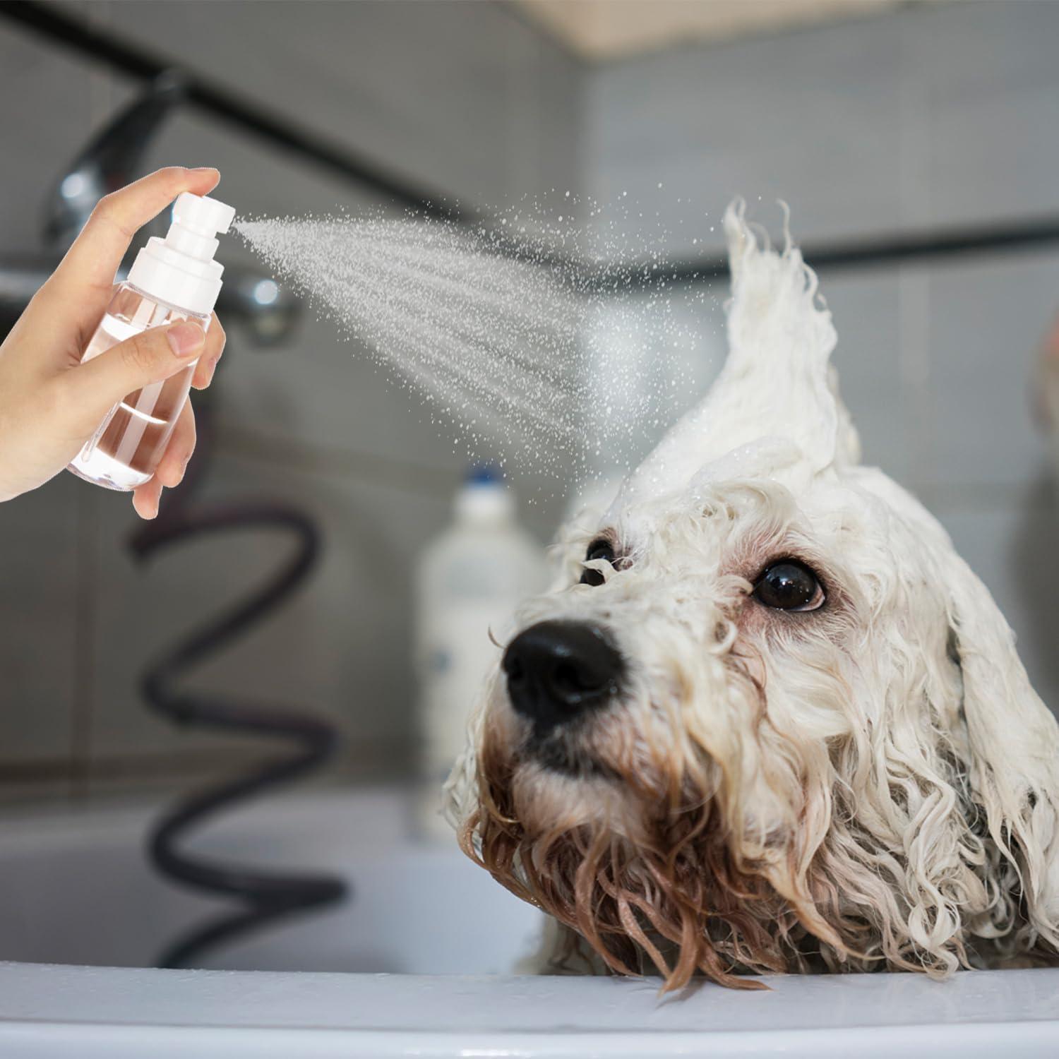 3 Botellas de Spray Pequeñas GIVITASOT 30ml Reutilizables