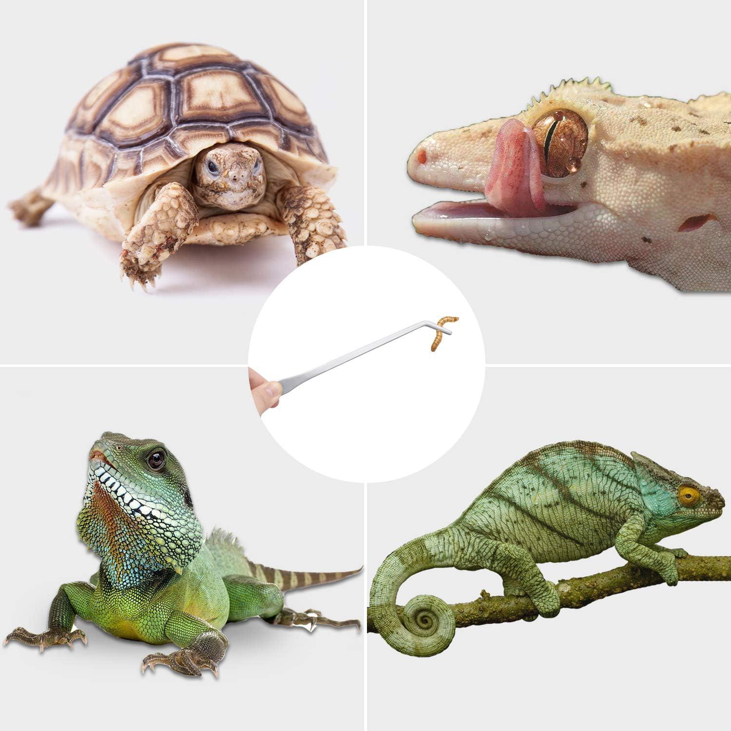 Juego de 3 Pinzas de Acero Inoxidable para Acuario y Reptiles