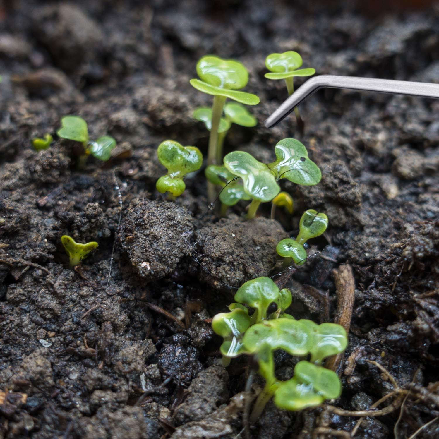 Juego de 3 Pinzas de Acero Inoxidable para Acuario y Reptiles