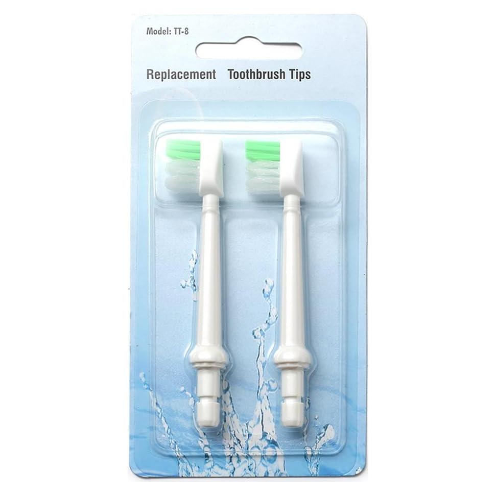Punta de cepillo H2ofloss TT-8 para irrigador oral - Paquete de 2