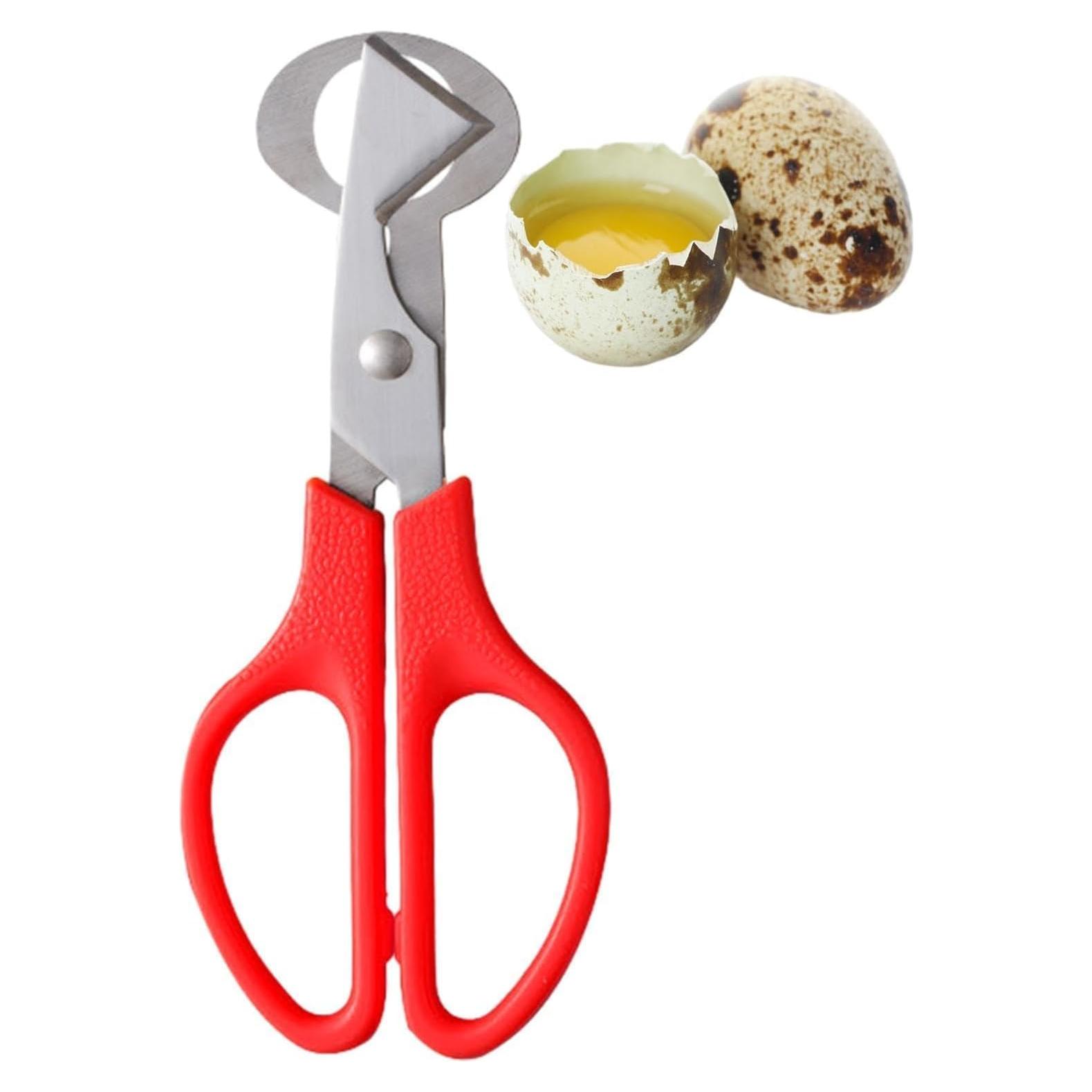Tijeras Cortadoras de Huevos de Codorniz Pxiryanlow - Acero Inoxidable