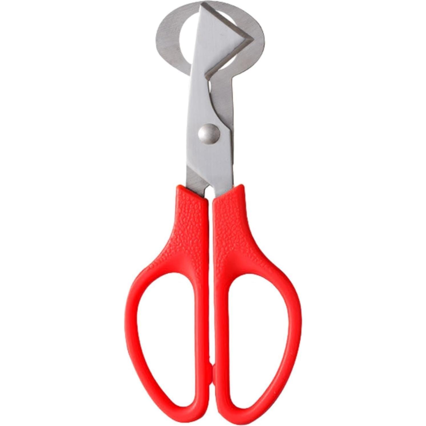 Tijeras Cortadoras de Huevos de Codorniz Pxiryanlow - Acero Inoxidable