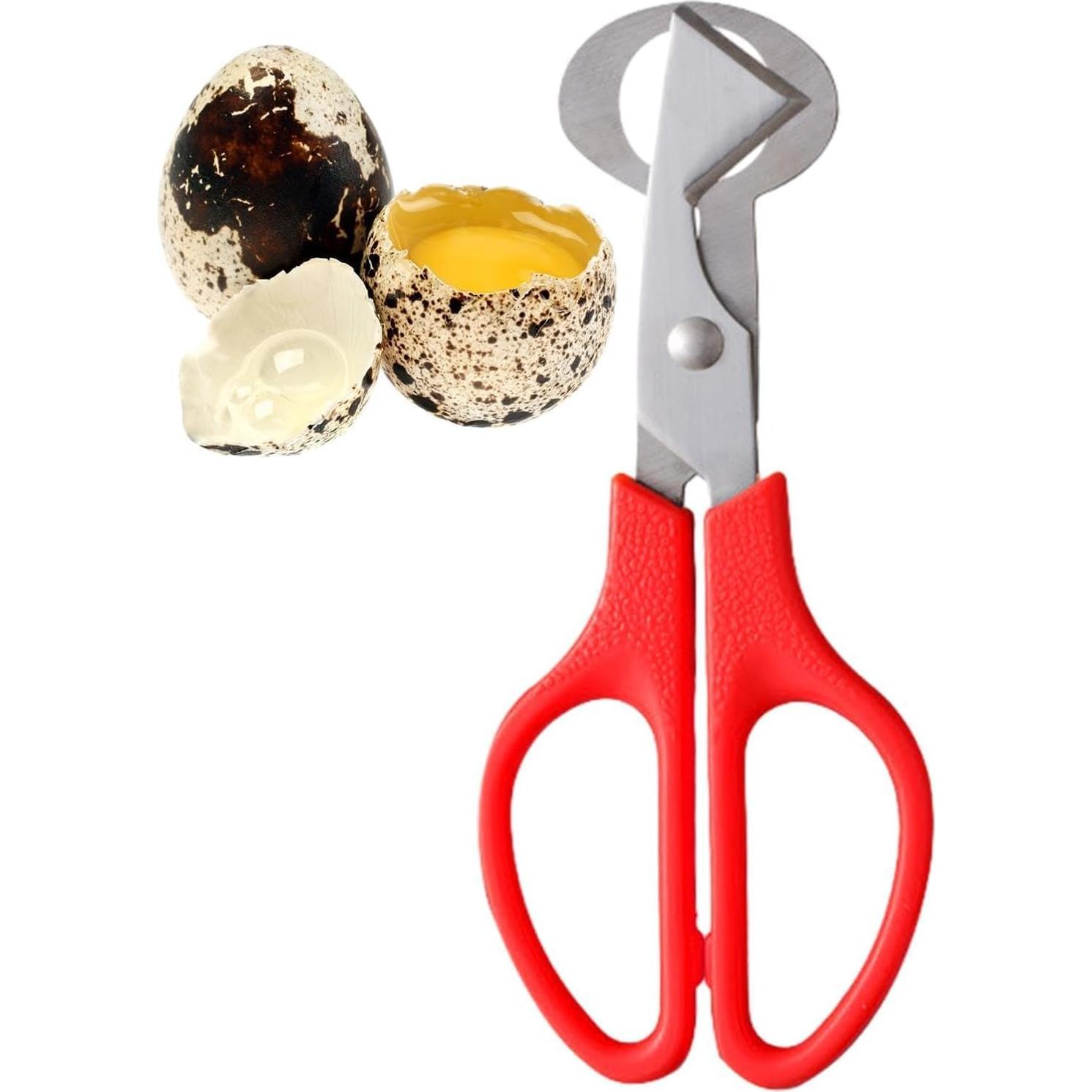 Tijeras Cortadoras de Huevos de Codorniz Pxiryanlow - Acero Inoxidable