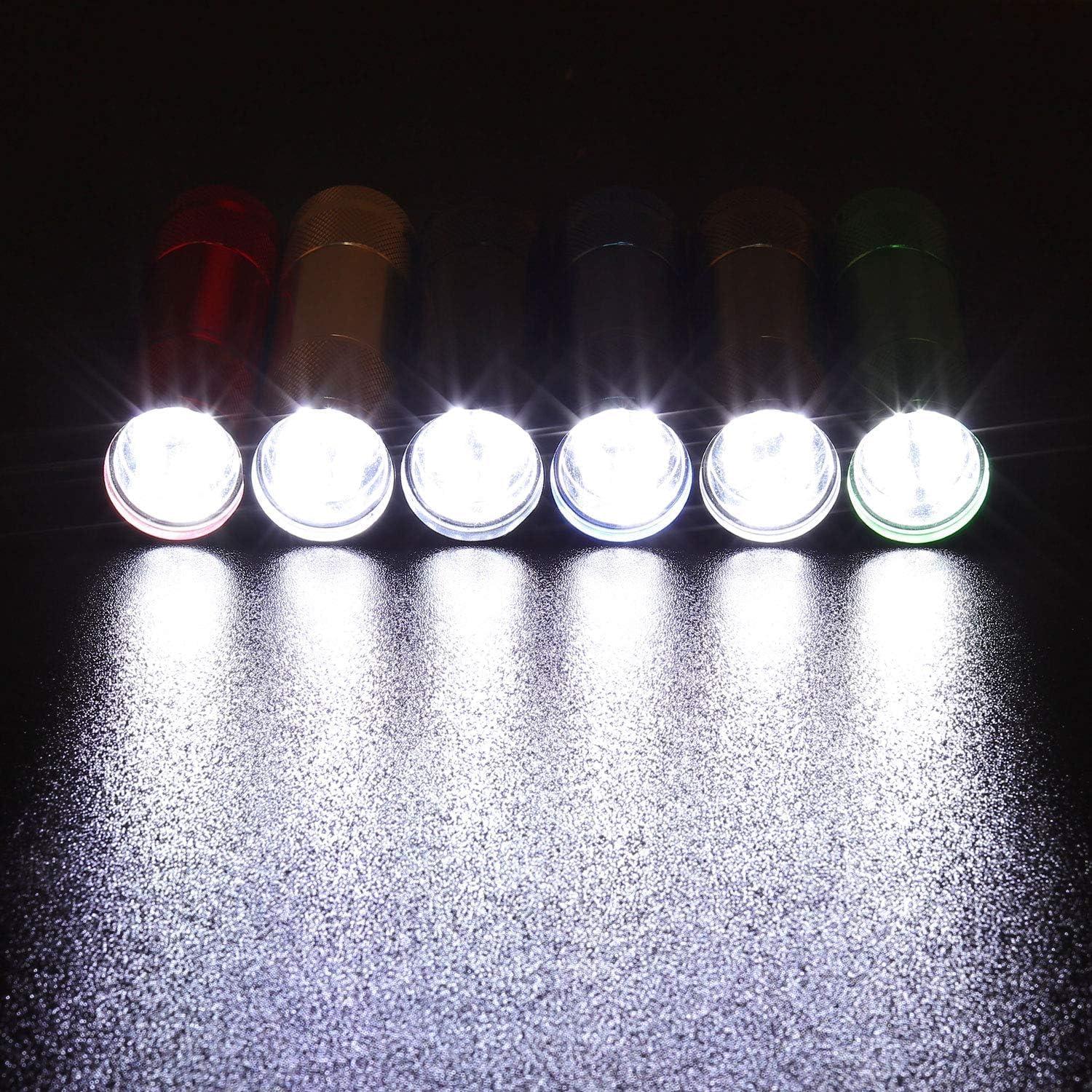 Conjunto de 18 Linternas LED Mini EverBrite con Baterías AAA