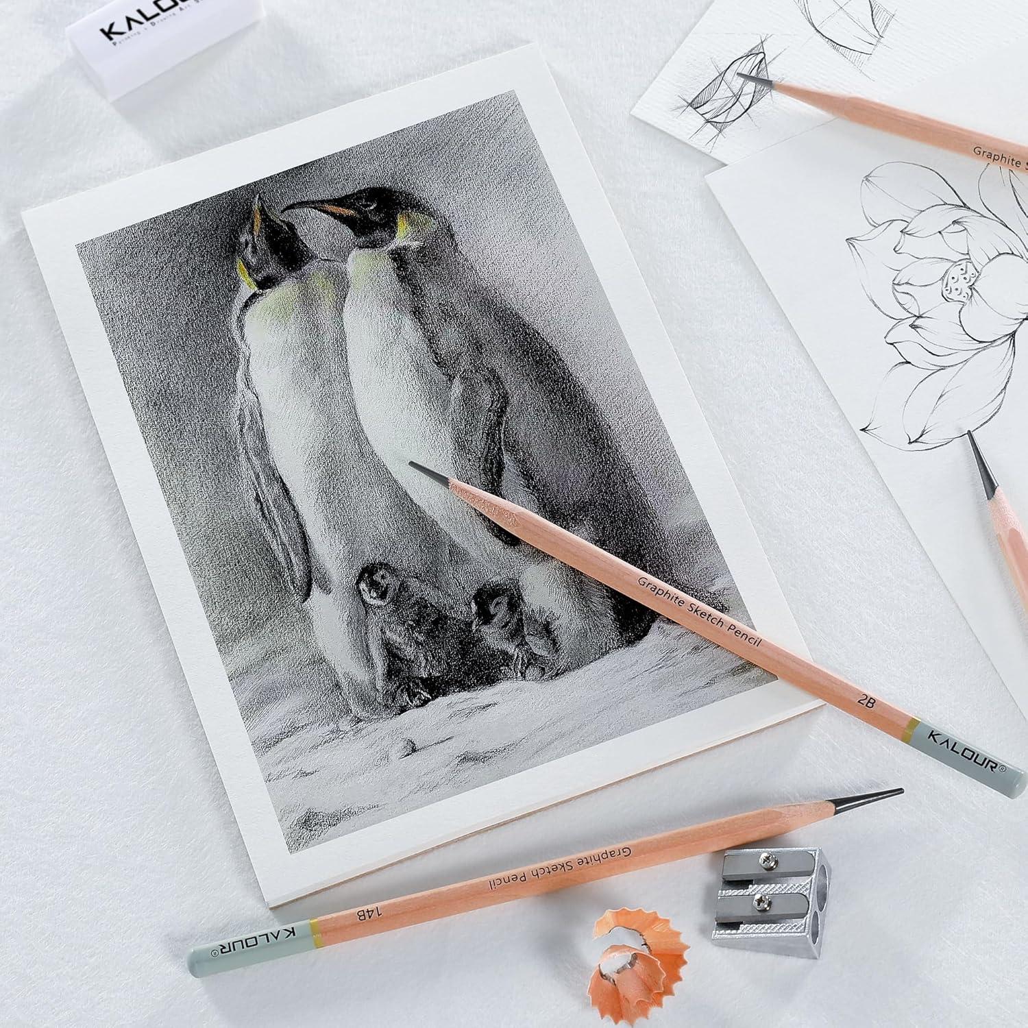 Set de Lápices de Dibujo Profesional KALOUR 18 Piezas