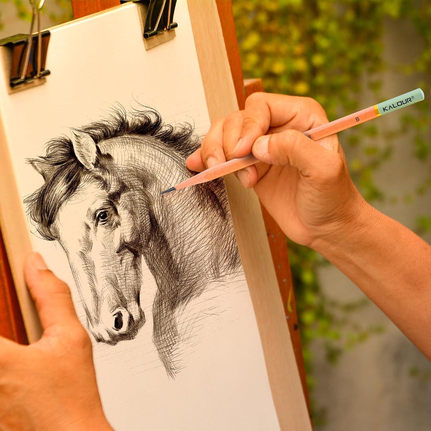 Set de Lápices de Dibujo Profesional KALOUR 18 Piezas