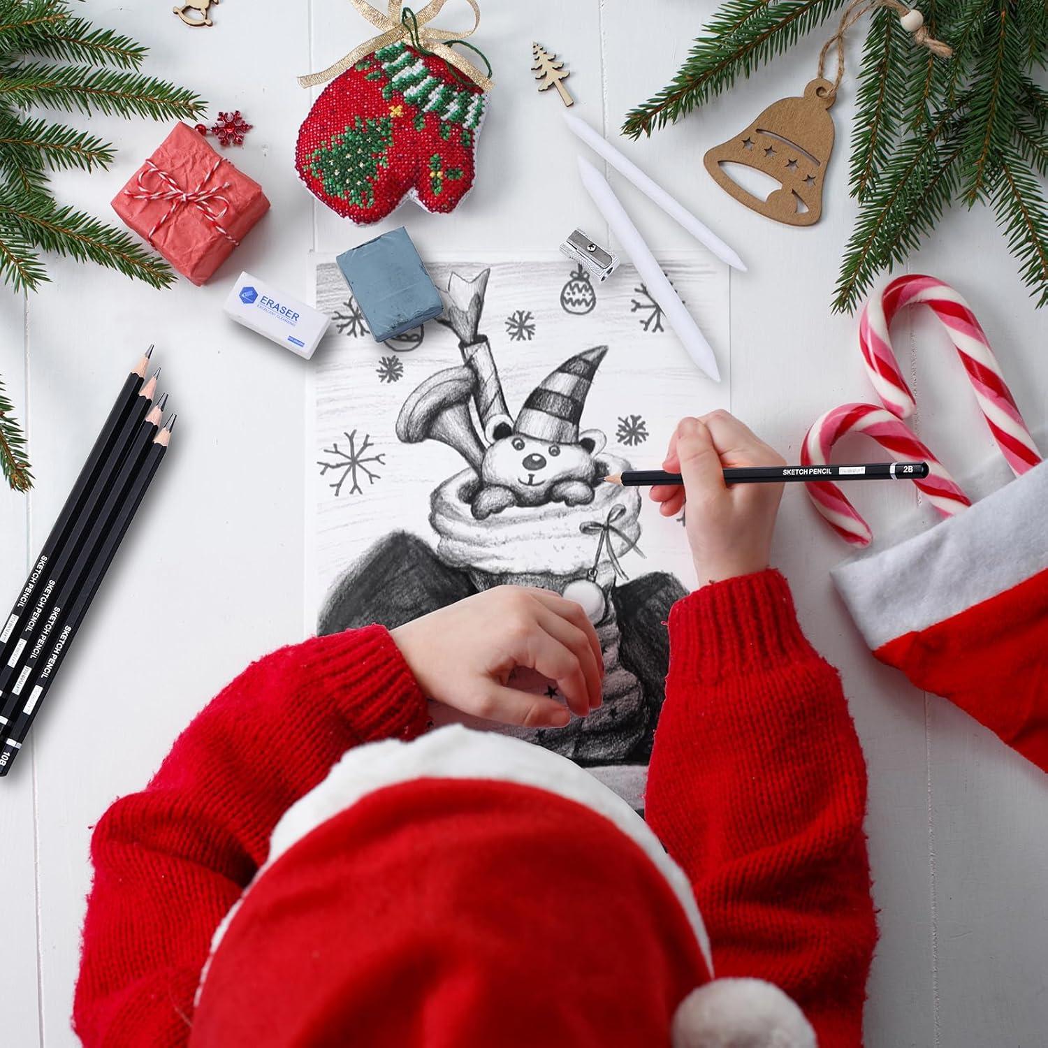 Juego de Lápices de Dibujo Profesional PANDAFLY 22 Piezas