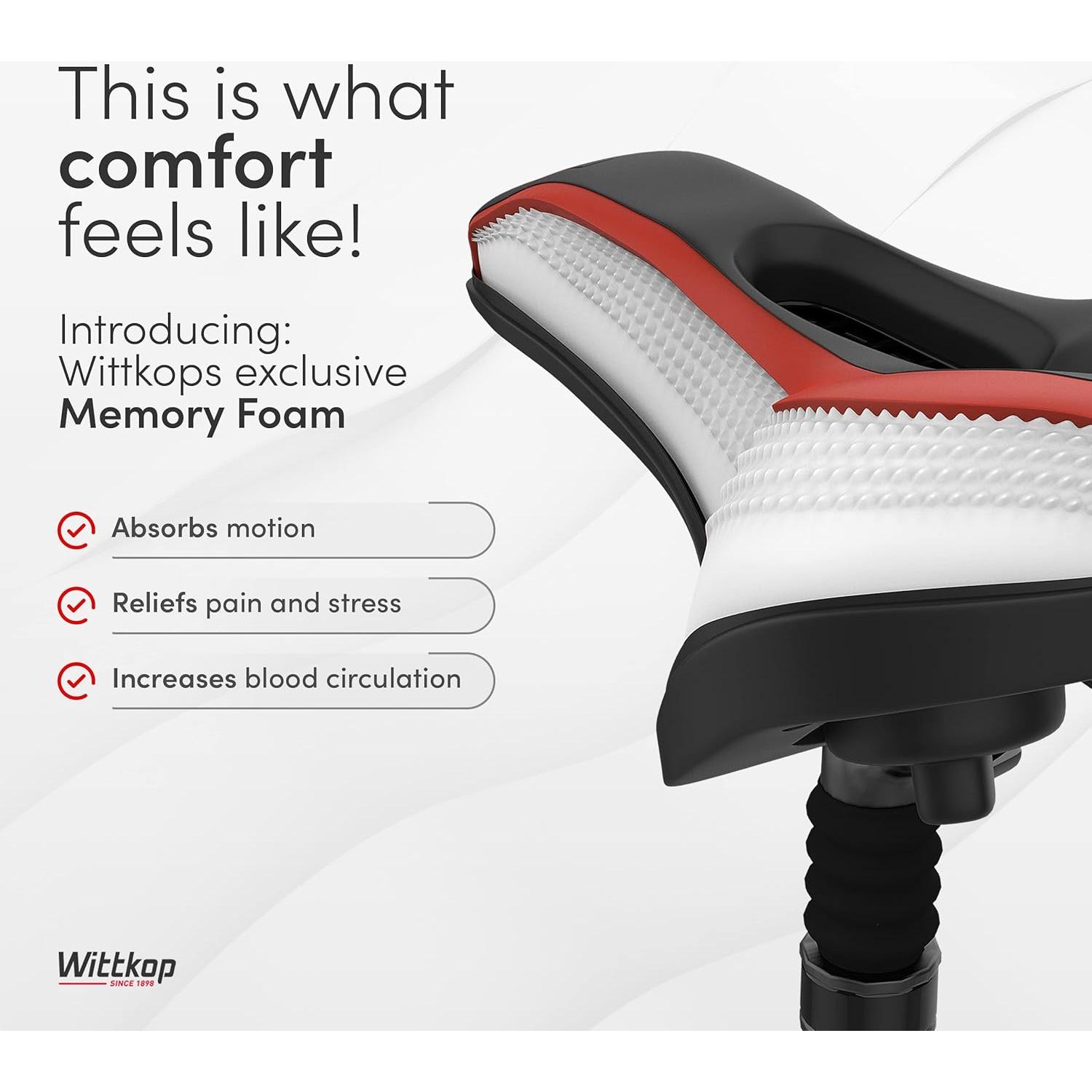 Sillín de Bicicleta Wittkop Unisex Impermeable 25.4x21.6cm