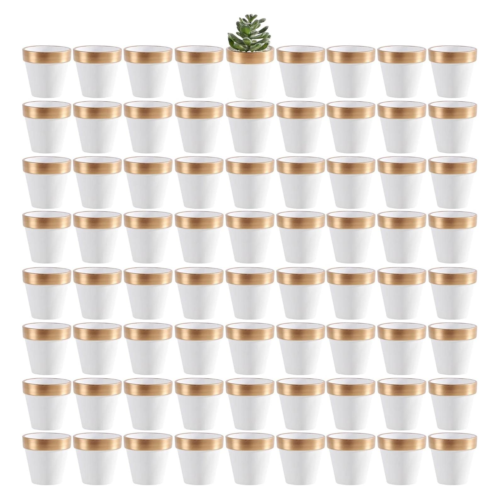 Yishang 72 Macetas Mini de Terracota Blancas y Doradas 6.35 cm