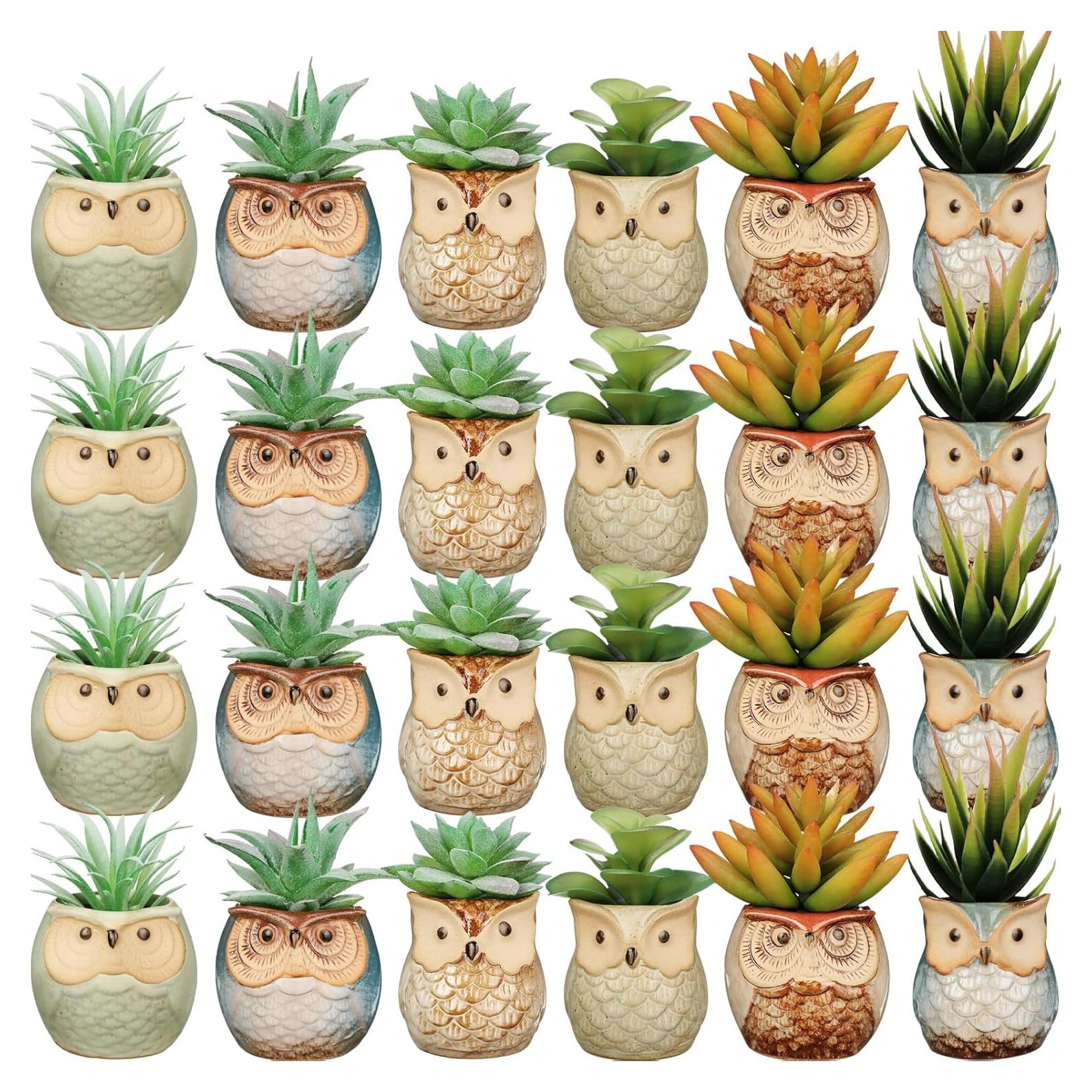 Nitial 24 Macetas de Cerámica en Forma de Búho Mini con Drenaje