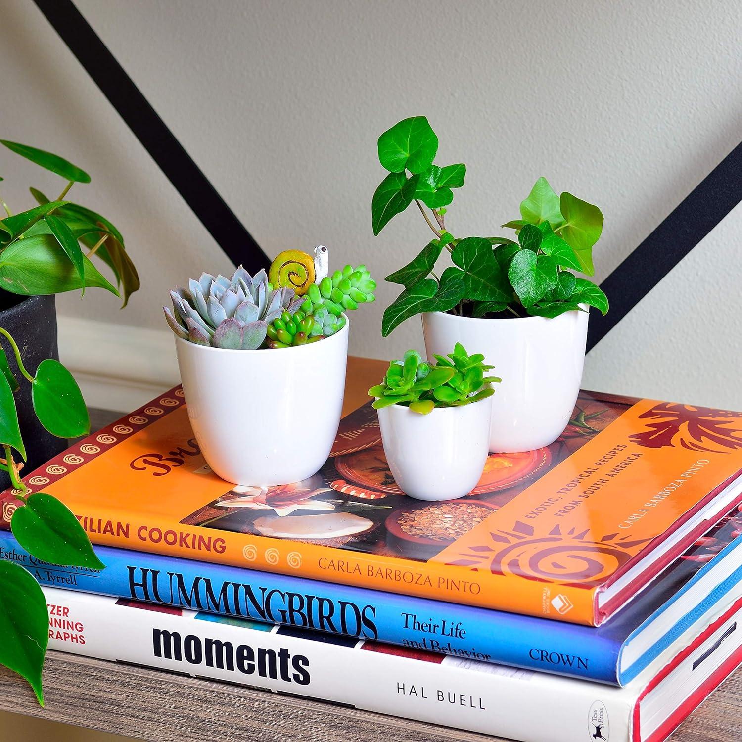 Juego de 24 Macetas de Plástico Youngever 5.08 cm Drenaje