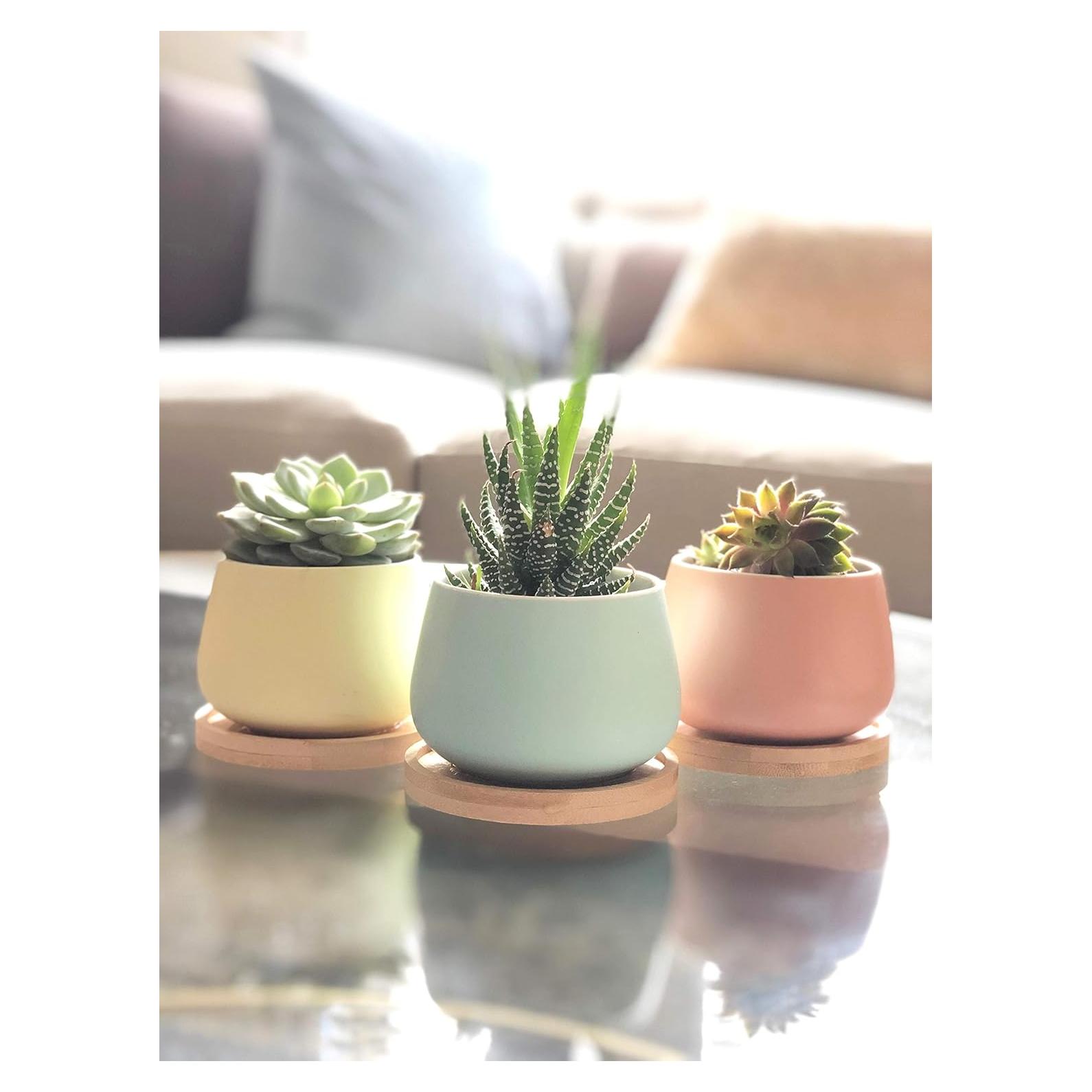 Macetas Cerámicas Redondas Chez JuJu 3" Surtidas Azul Rosa Amarillo