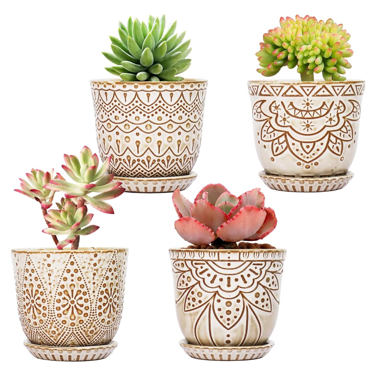 Macetas Suculentas Gepege - Cerámica 10 cm - Juego de 4