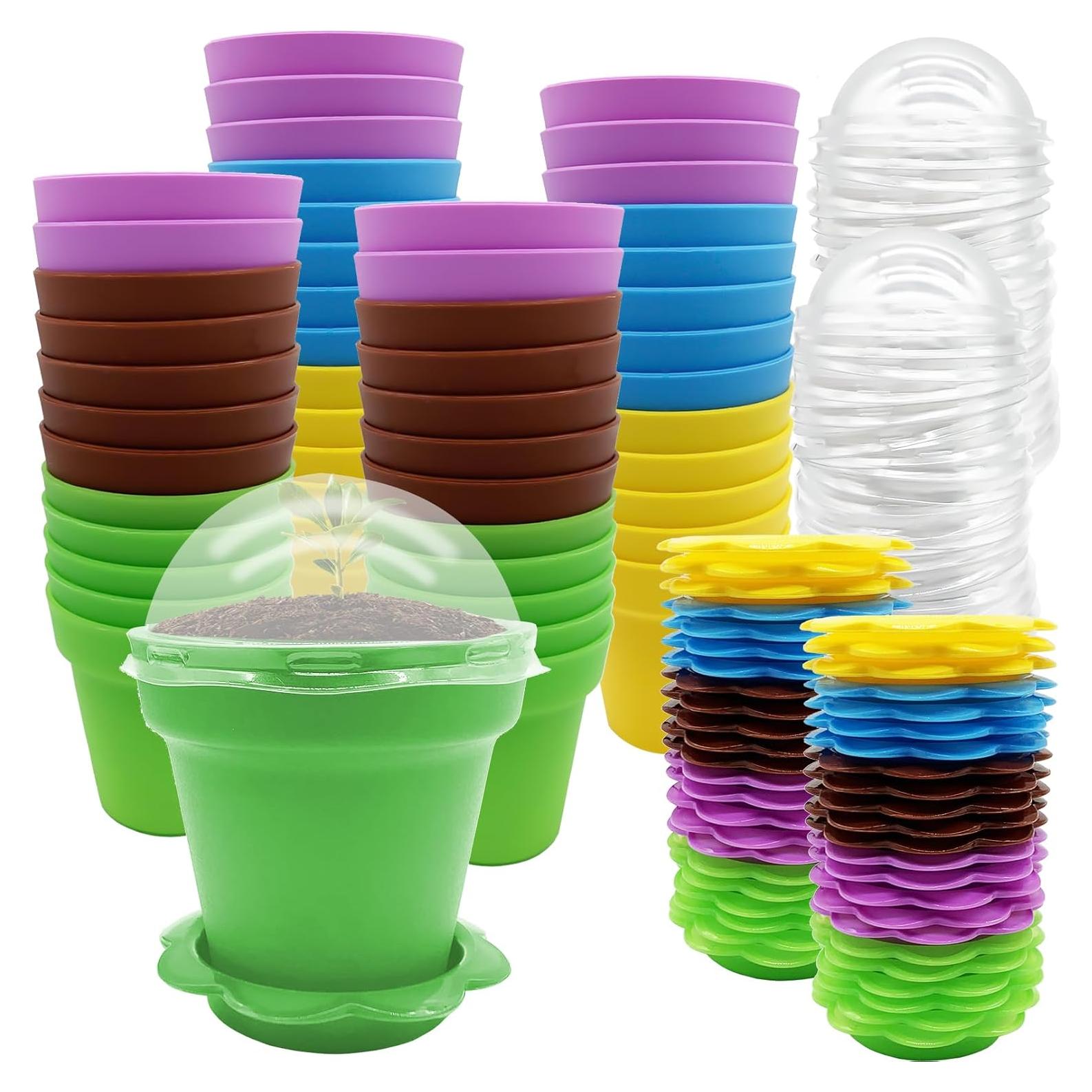 50 Macetas de Vivero PURPLE STAR 1N con Domo de Humedad