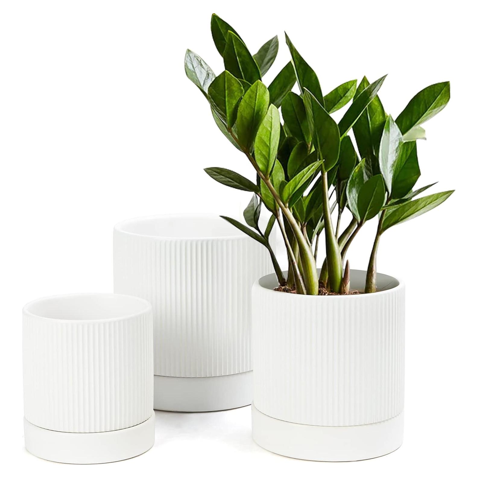 LaDoVita 3 Macetas de Cerámica 15/12/10 cm con Drenaje